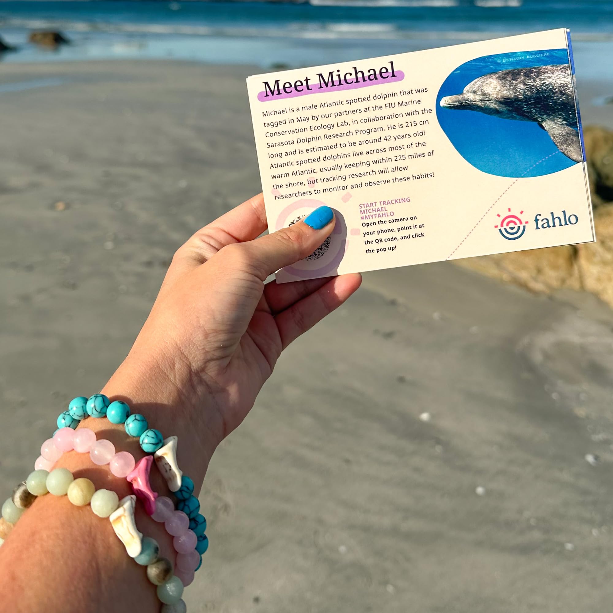 Fahlo Dolphin Tracking Bracelet, Elastic, supports FIU Marine Conservation, one size fits most for Men and Women (Seafoam)