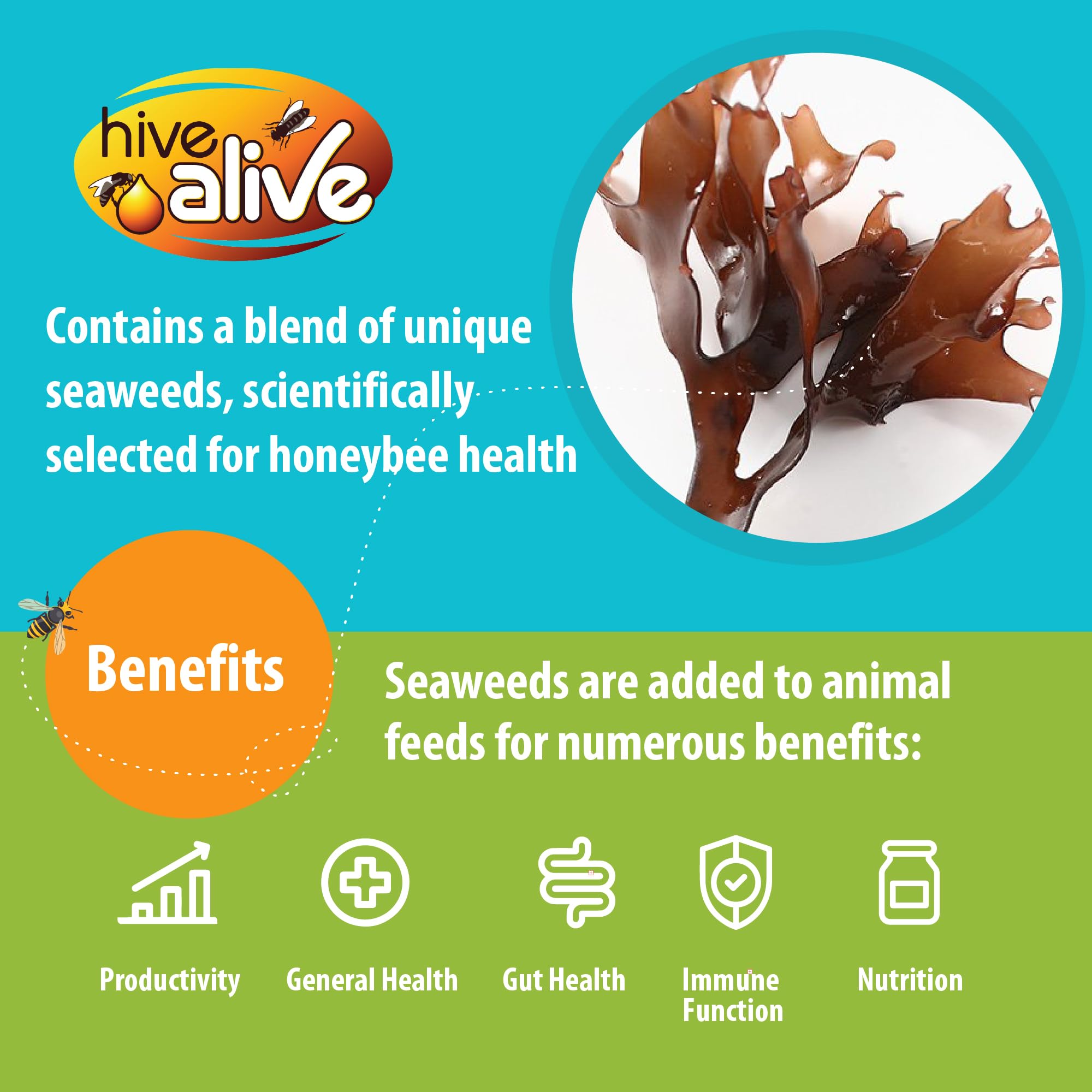 Hive Alive Fondant Bee Food Supplement – Easy to Use Feed Enhancer Prevents Starvation During Overwintering – Only Fondant with Hive Alive Proven to Increase Bee Gut Health and Boost Production-15Pack