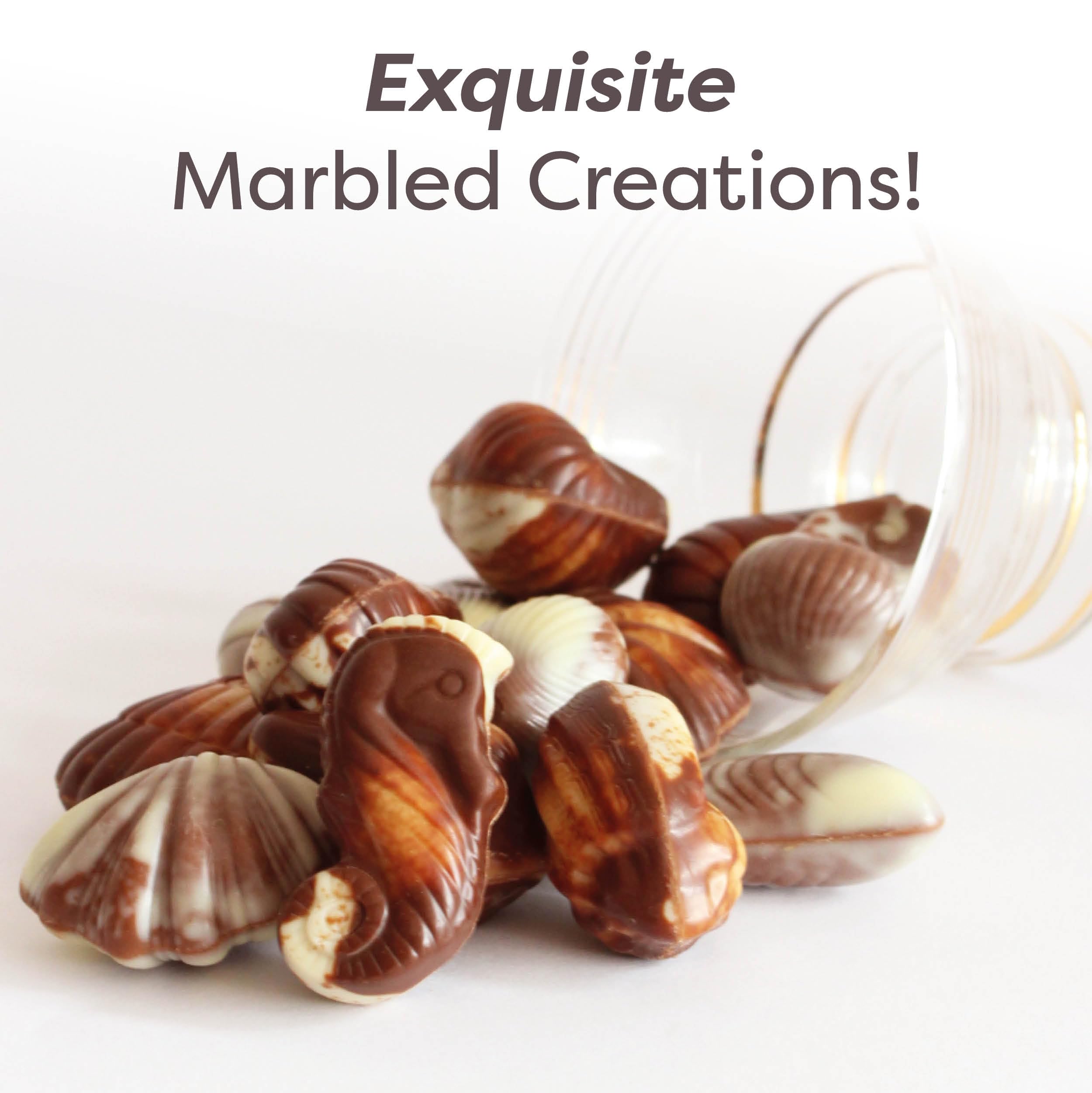 GuyLian Original Belgian Chocolate Seashells 250g Gift Box (Pack of 2): Each Contains Twenty-Two Pieces of Silky Smooth Seashell-Shaped Milk Chocolate with a Creamy Hazelnut Praliné Filling