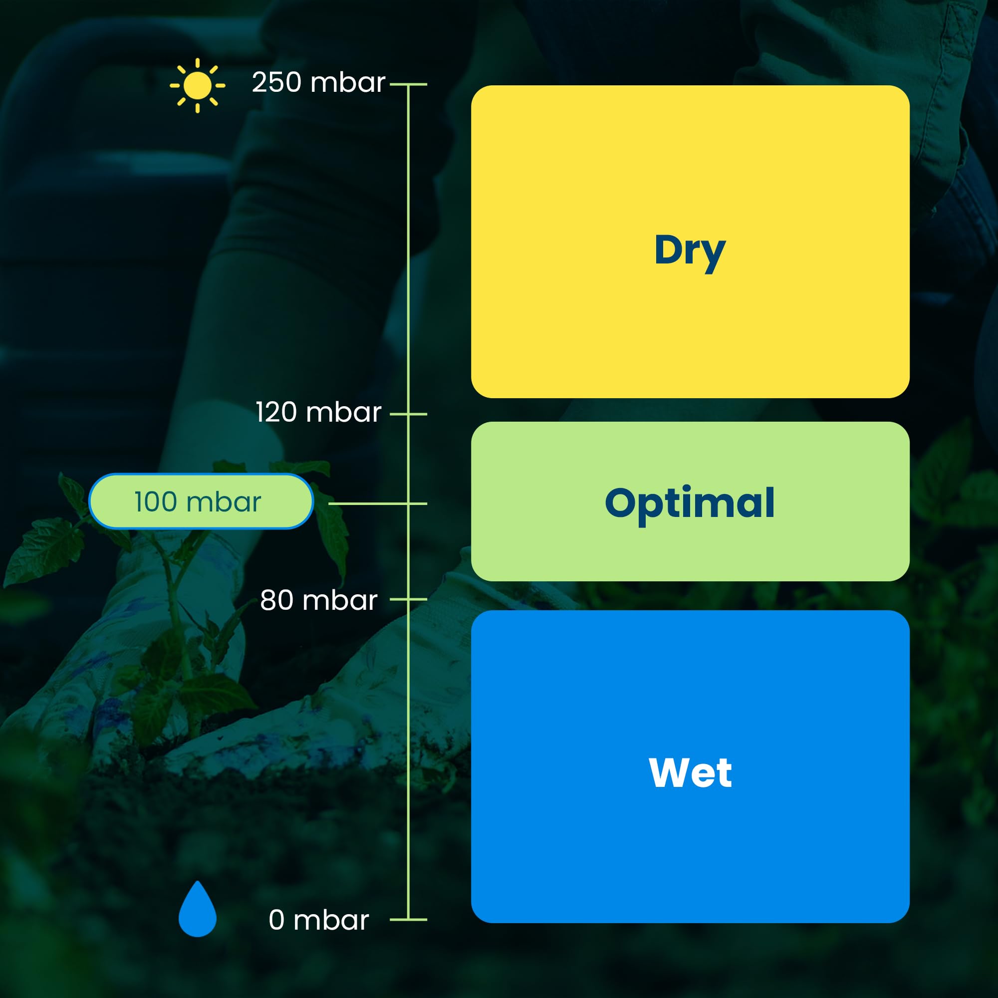 Blumat Digital Soil Moisture Meter for Plants - Accurate Soil Moisture Sensor for Optimal Plant Care and Irrigation System Calibration - Advanced Water Meter for Gardening