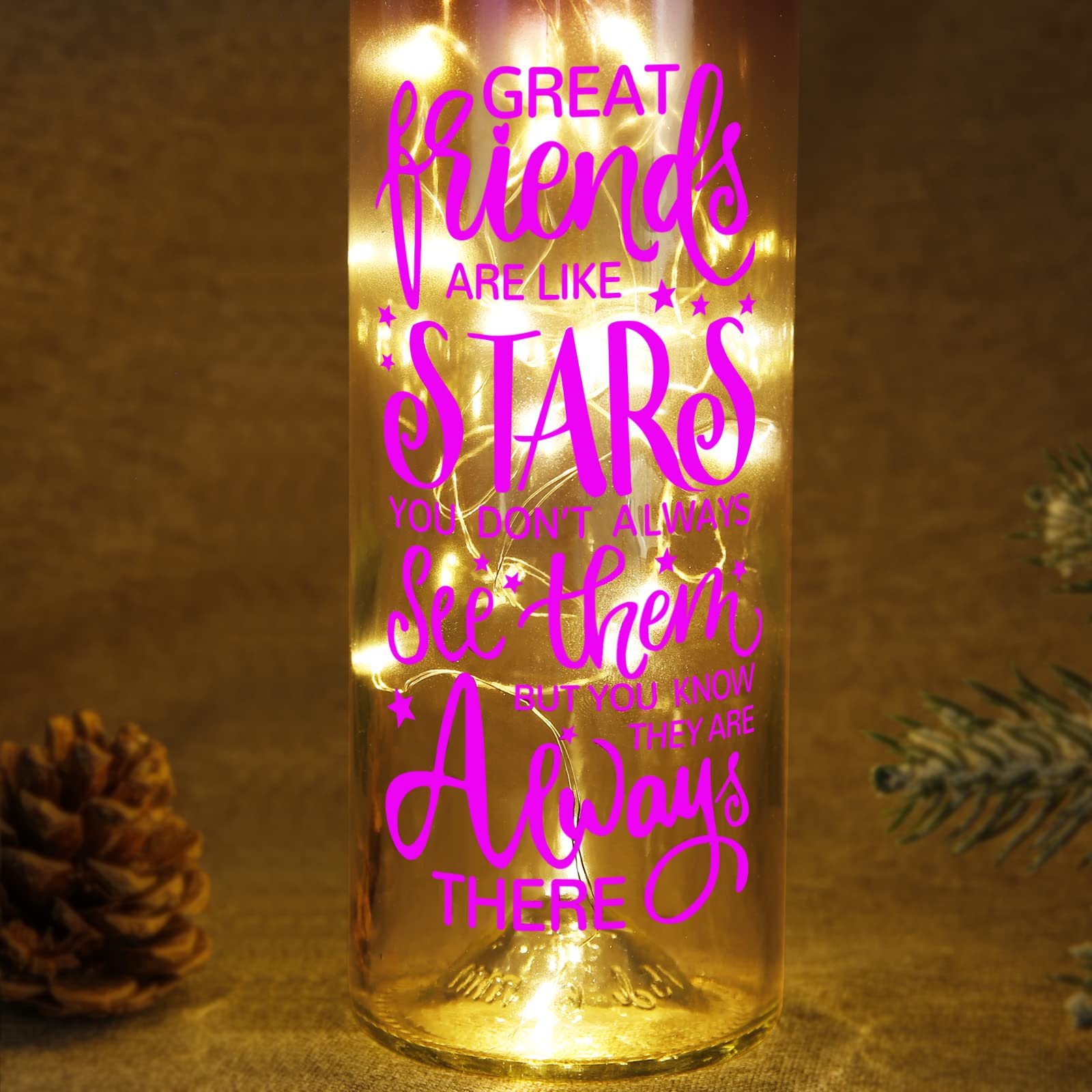 Christmas Gifts for Women - Best Friends Gifts - Wine Bottle Lights with Cork - Light Up Lamp Decor for Home Decorations - Birthday Friendship Unique Gift for Womens Who Have Everying Men Girls Boys