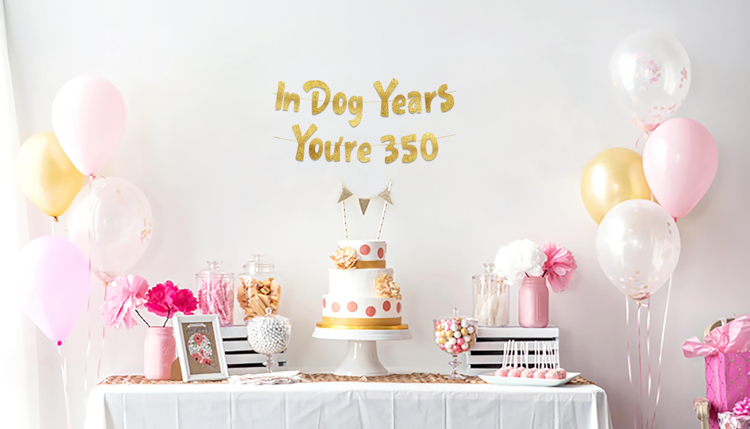 In Dog Years You're 350 Hilarious Adult Birthday Gold Glitter Banner - Funny Birthday Party Supplies, Ideas, Gifts and Decorations - 50th - 55th - 60th - 65th - 70th - 75th