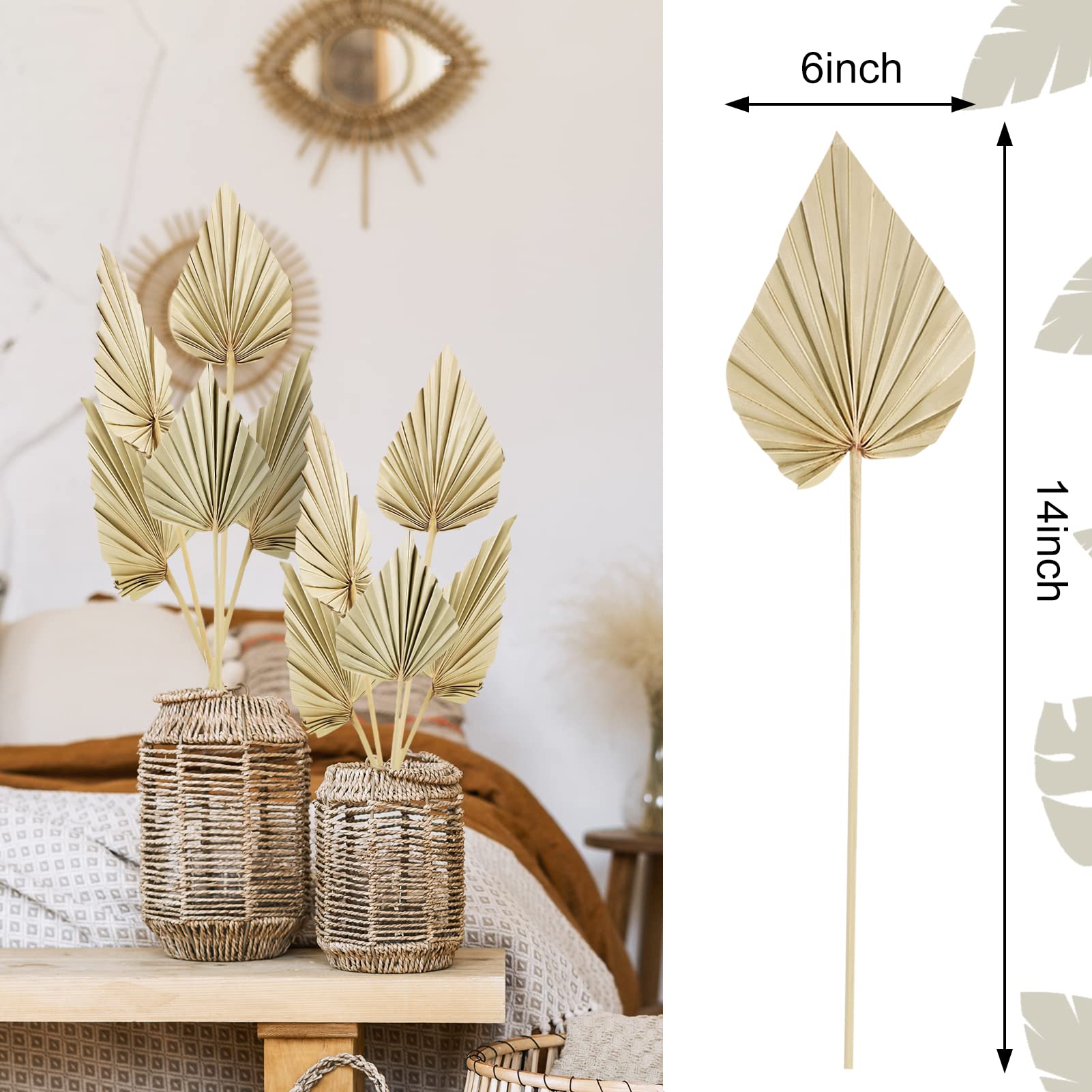 Cenkaiyang 10 Pcs Boho Dried Palm Spears Leaves, Real Palm Fans with Stem, Boho Home Decor for Vase, Wedding, Office, Home (10 Pieces)