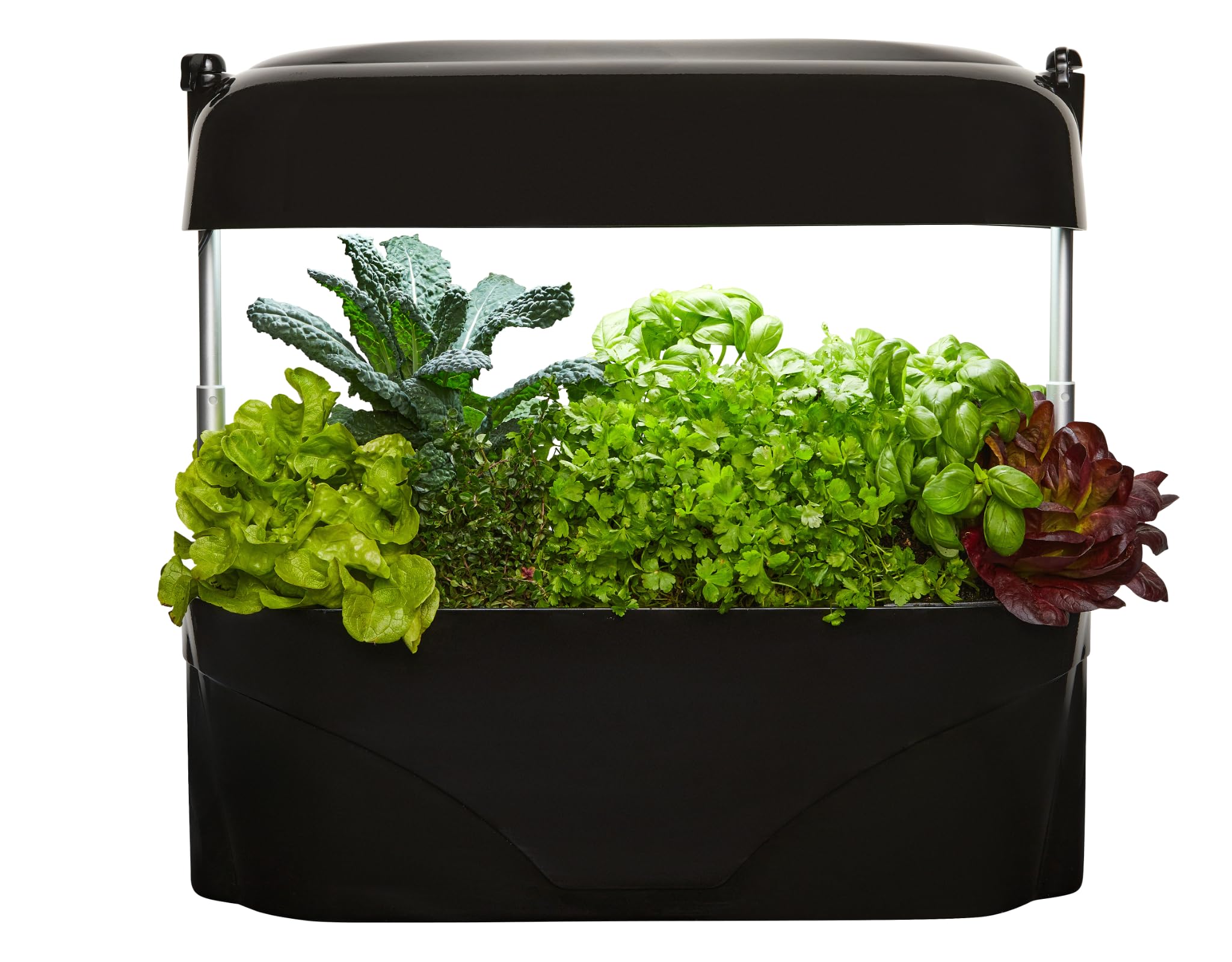 vegepod - Kitchen Garden - Gourmet Herb and Vegetable Indoor Grow Kit, Self Watering, LED Grow Light (Black)