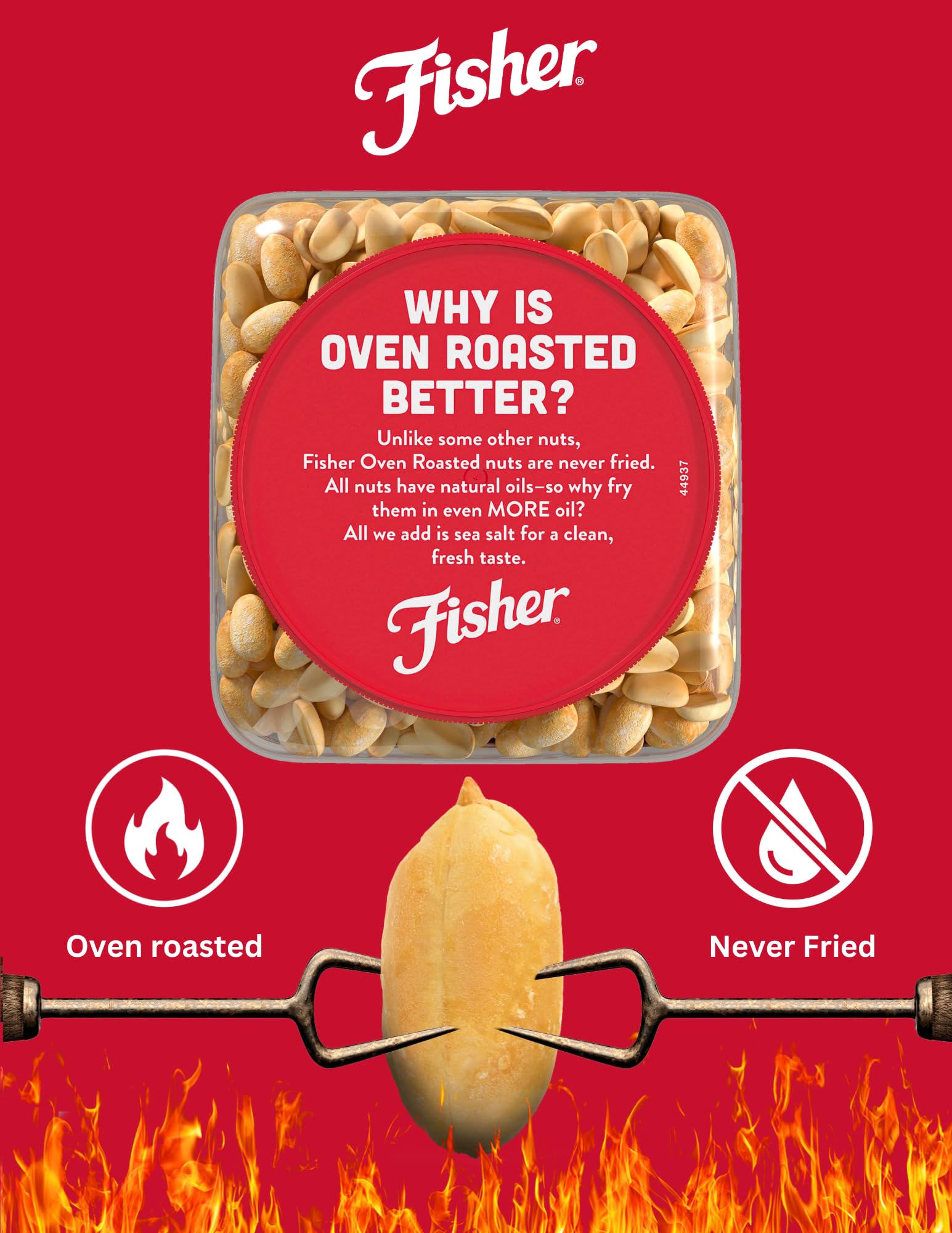 Fisher Oven Roasted Never Fried Peanuts, 24 Ounces (Pack of 6), Snacks for Adults, Made With Sea Salt, No Added Oils, Artificial Ingredients or Preservatives, Gluten Free, Vegan Protein, Bulk 