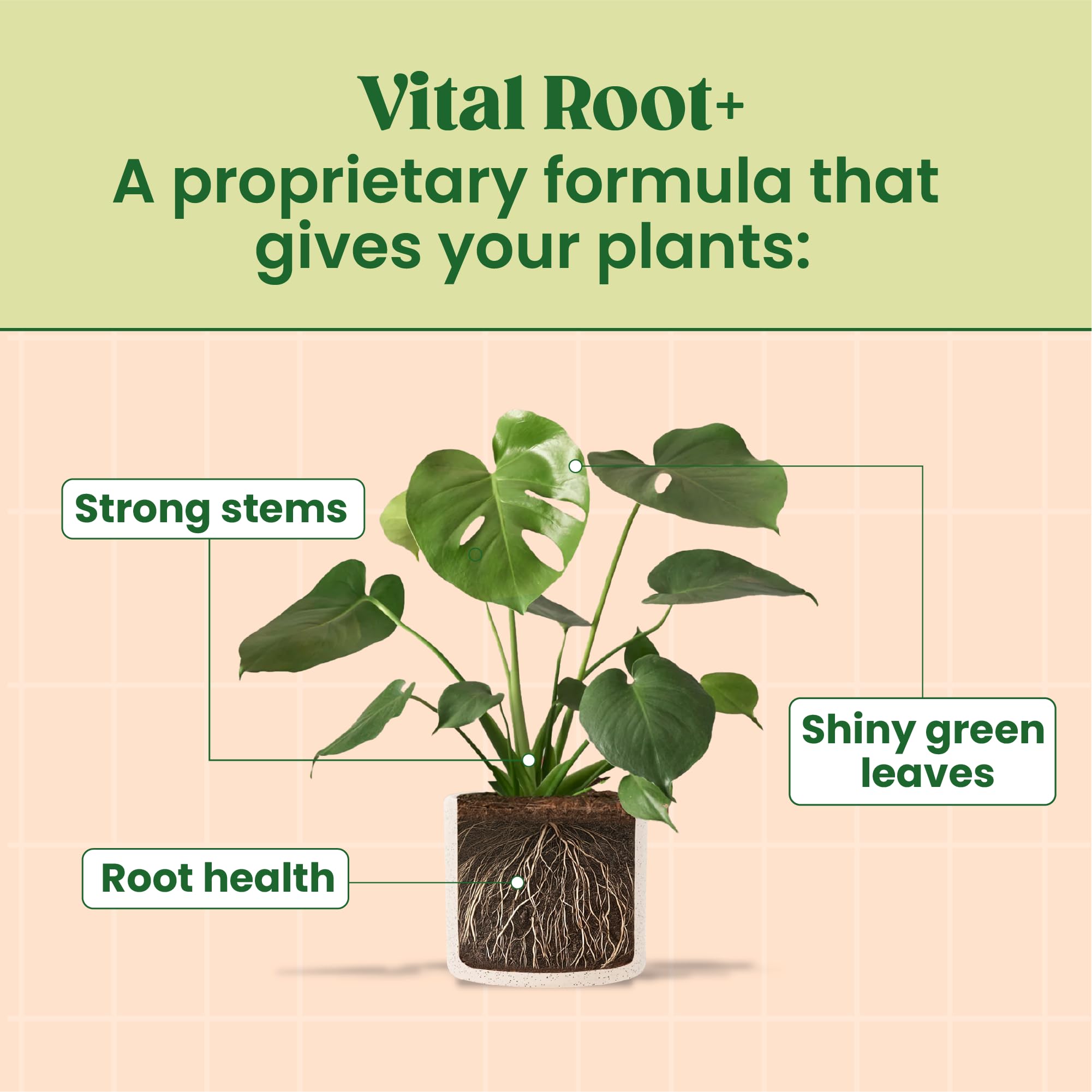 Root Supplement, Liquid Stimulator for Fiddle Leaf Fig & Indoor Plants - Propagation Promoter & Rot Treatment - Food for Healthy Roots, Stems & Leaves - Made in USA