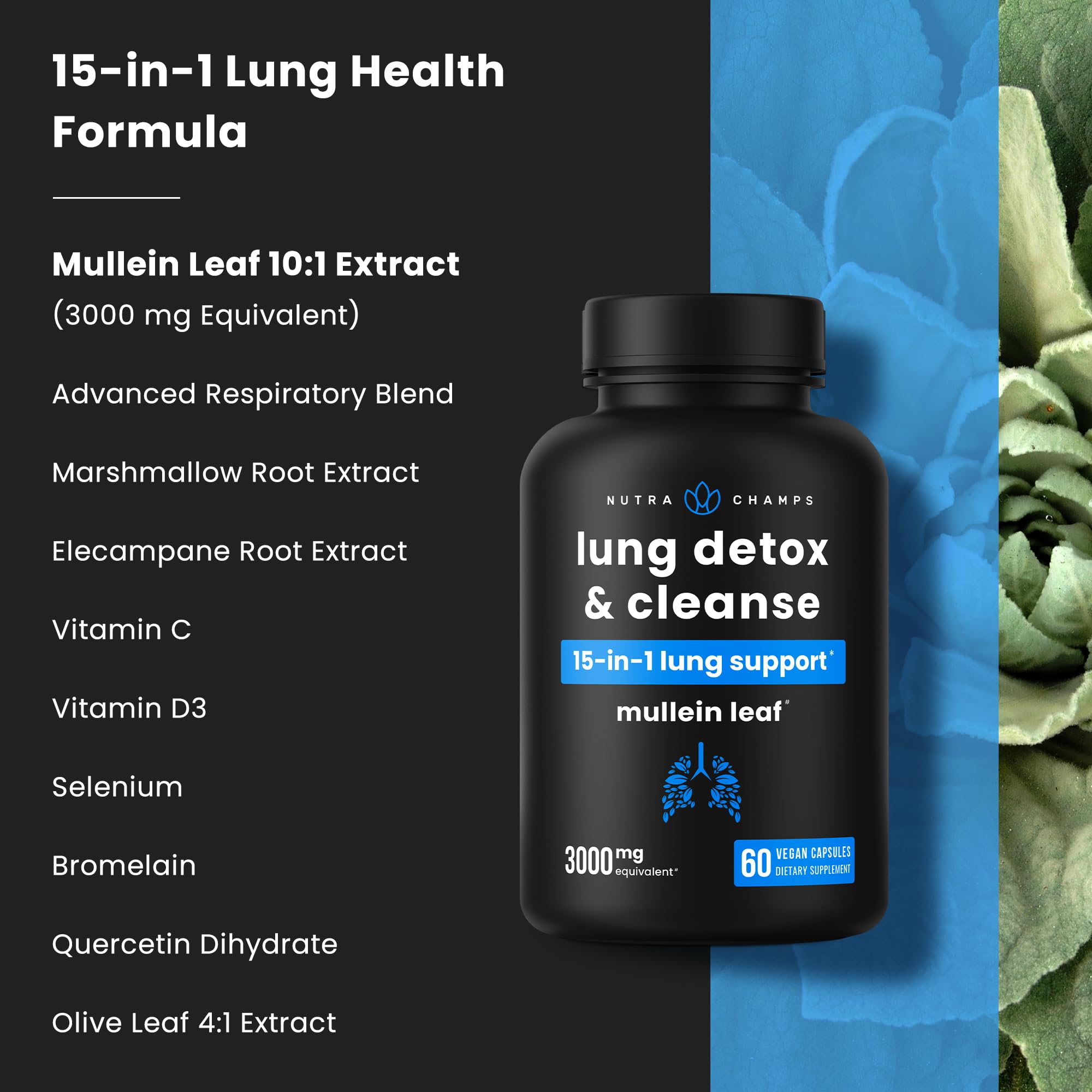 Lung Detox & Cleanse | Mullein Leaf Capsules | 15-In-1 Lung Health Formula for Respiratory, Immune & Mucus Support | 10:1 Mullein Leaf Extract (3000mg Equivalent) | Vegan Lung Support Supplement