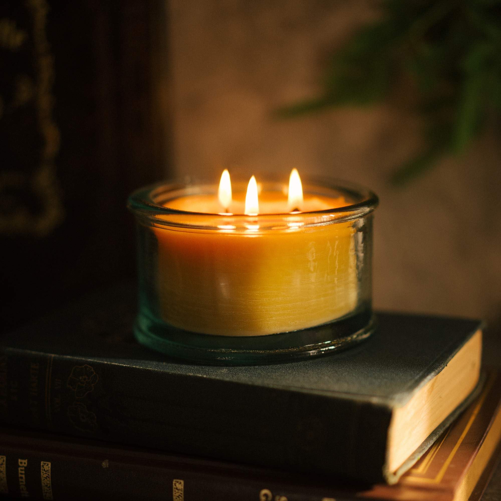 Bluecor Botanica Beeswax Candle: 3-Wick Scented Candle Handmade with Pure Beeswax and Tangerine & Geranium Essential Oils