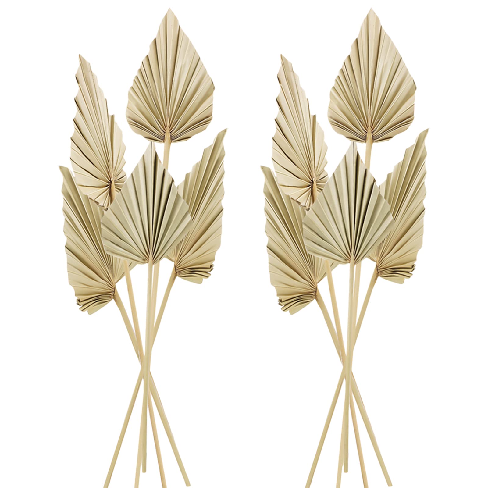 Cenkaiyang 10 Pcs Boho Dried Palm Spears Leaves, Real Palm Fans with Stem, Boho Home Decor for Vase, Wedding, Office, Home (10 Pieces)