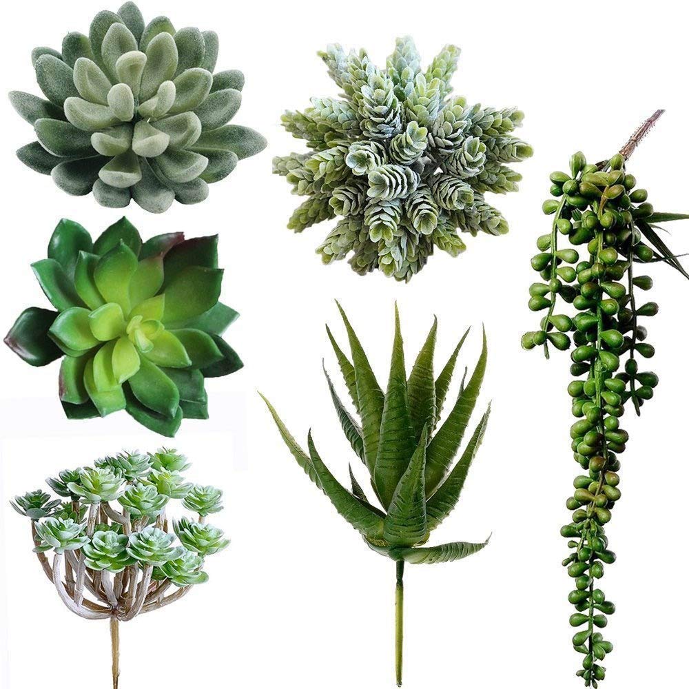 Winlyn 6 Pcs Unpotted Fake Succulents Assorted Faux Succulent in Different Green Artificial Hanging Succulents Textured Faux Succulent Pick Hanging String of Pearls Plant for Wedding Centerpieces