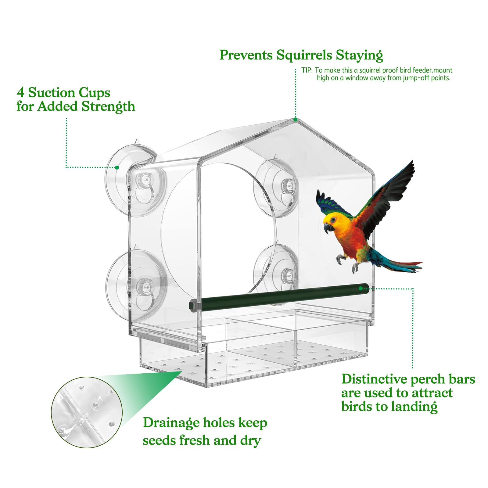 Window Bird Feeder with 4 Extra Strong Suction Cups, Drainage Holes Detachable Seed Tray Easy Install and Clean Bird Feeders for Window Outdoor Window Bird Feeders for Viewing