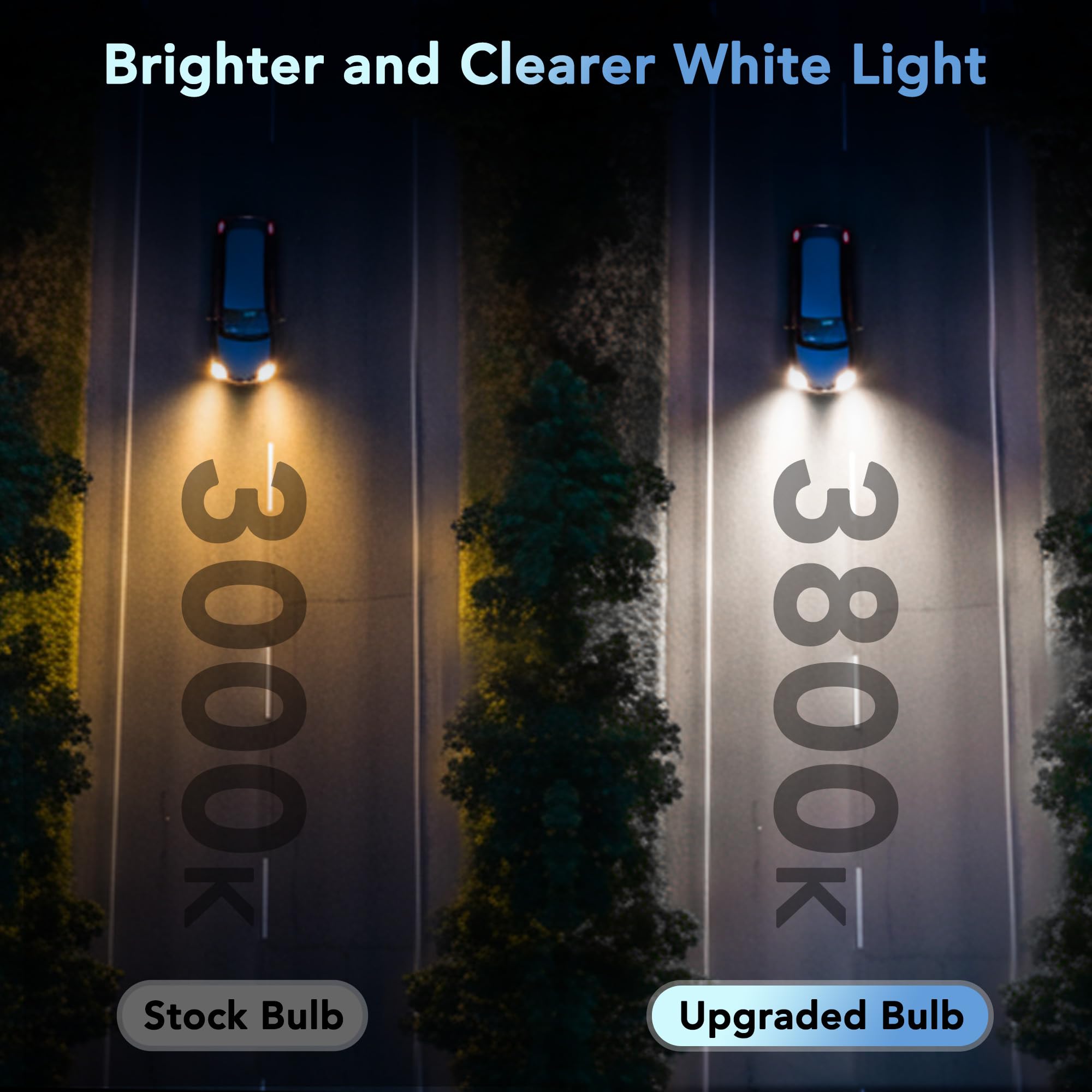 PERPOTAO H11 Halogen Bulbs, 12V 55W, 3800K White - Wireless CarPlay Adapter 2025