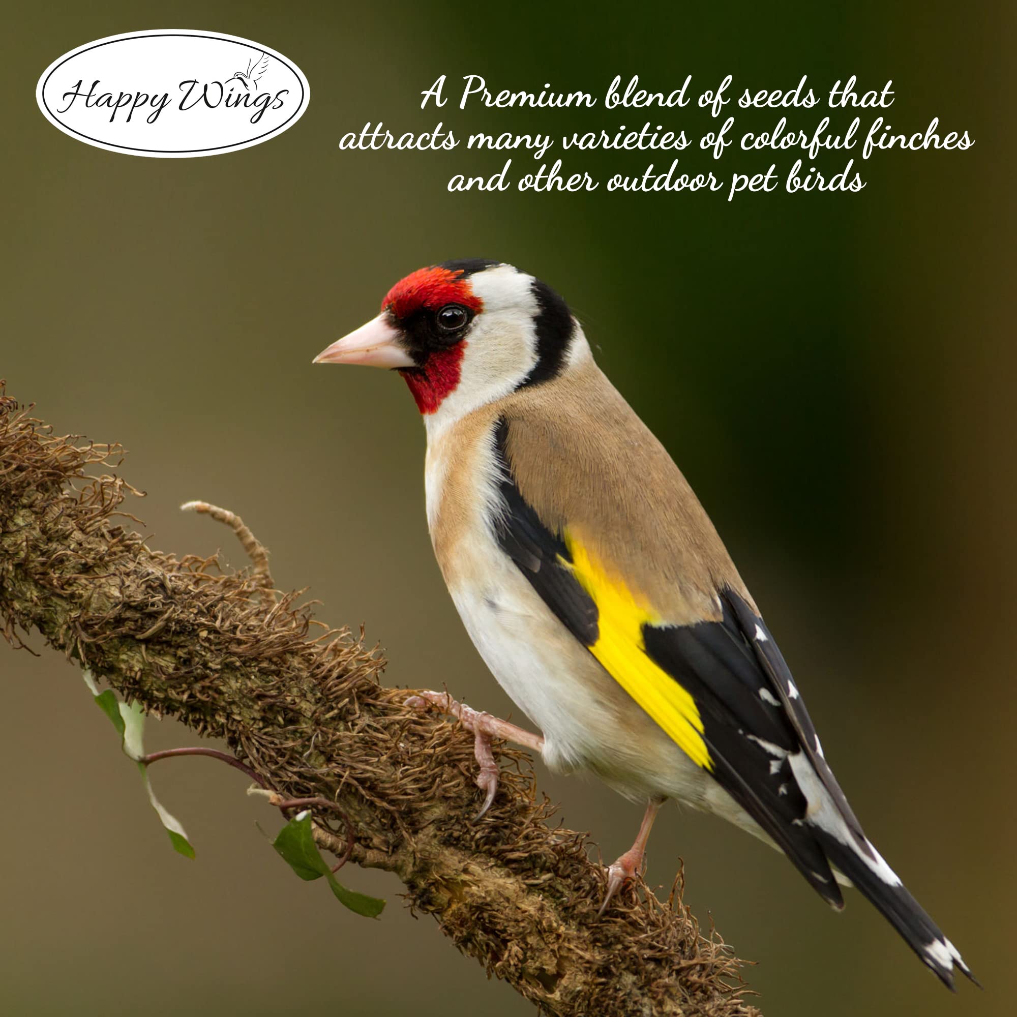 Happy Wings Finch Blend Bird Food - Mix of Sunflower Hearts/Kernels and Nyjer, 5 Pounds - No Grow Seed - For Wild Birds