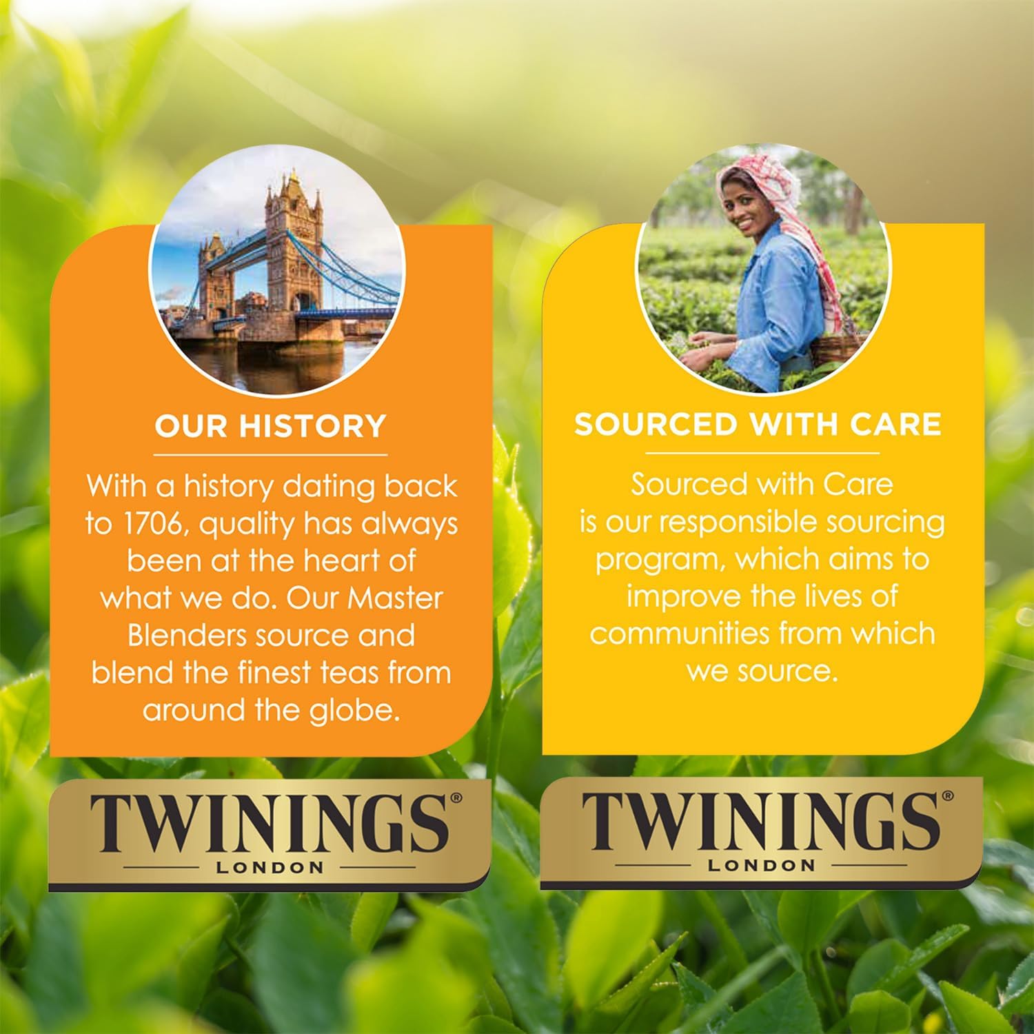 Twinings Earl Grey Black Tea K-Cup Pods for Keurig, 24 Count (Pack of 2), Flavoured with Citrus and Bergamot, Caffeinated, Enjoy Hot or Iced