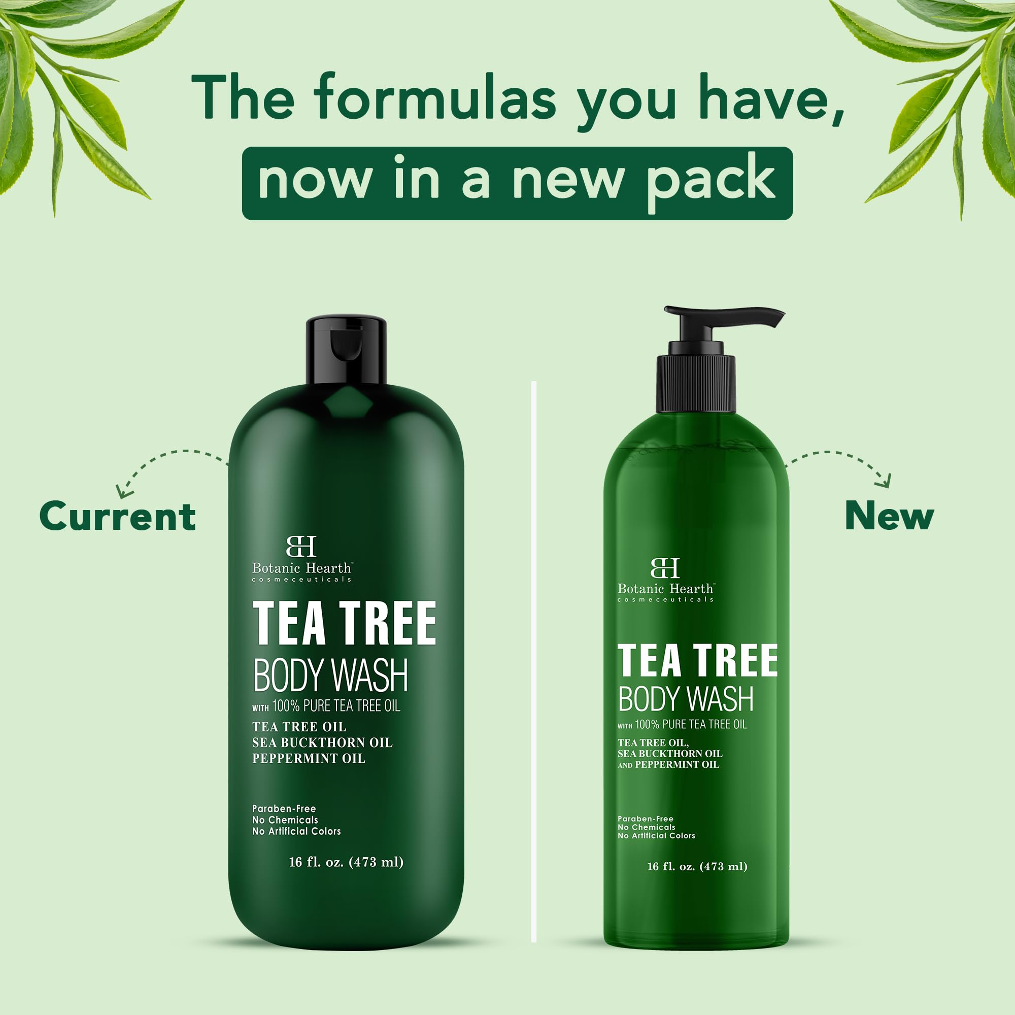 Botanic Hearth Tea Tree Body Wash with peppermint oil| for Men and Women 16 fl. oz. Pack of 2