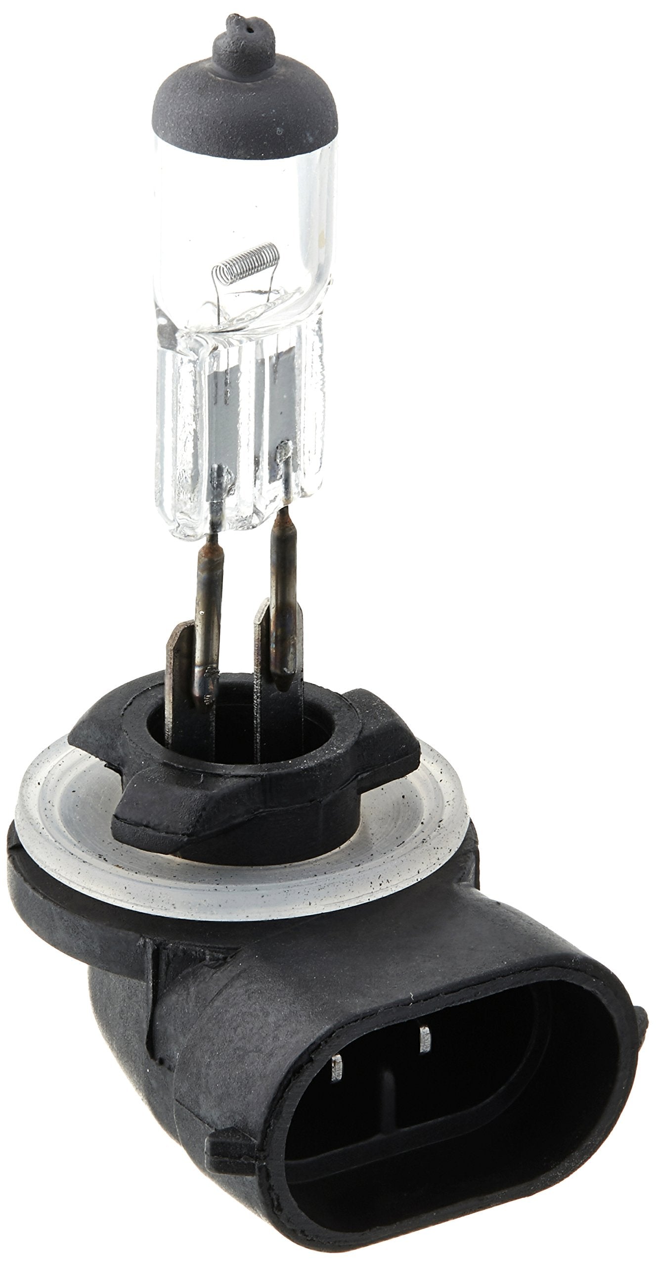 RoadPro RPHB896#896 Halogen Replacement Fog Light Bulb
