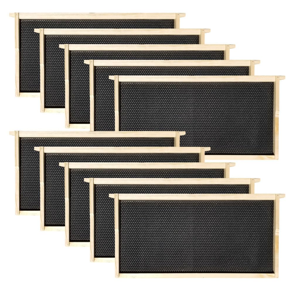 Wax-Coated 10 Frame Beehive - (1) Deep & (1) Medium Unassembled