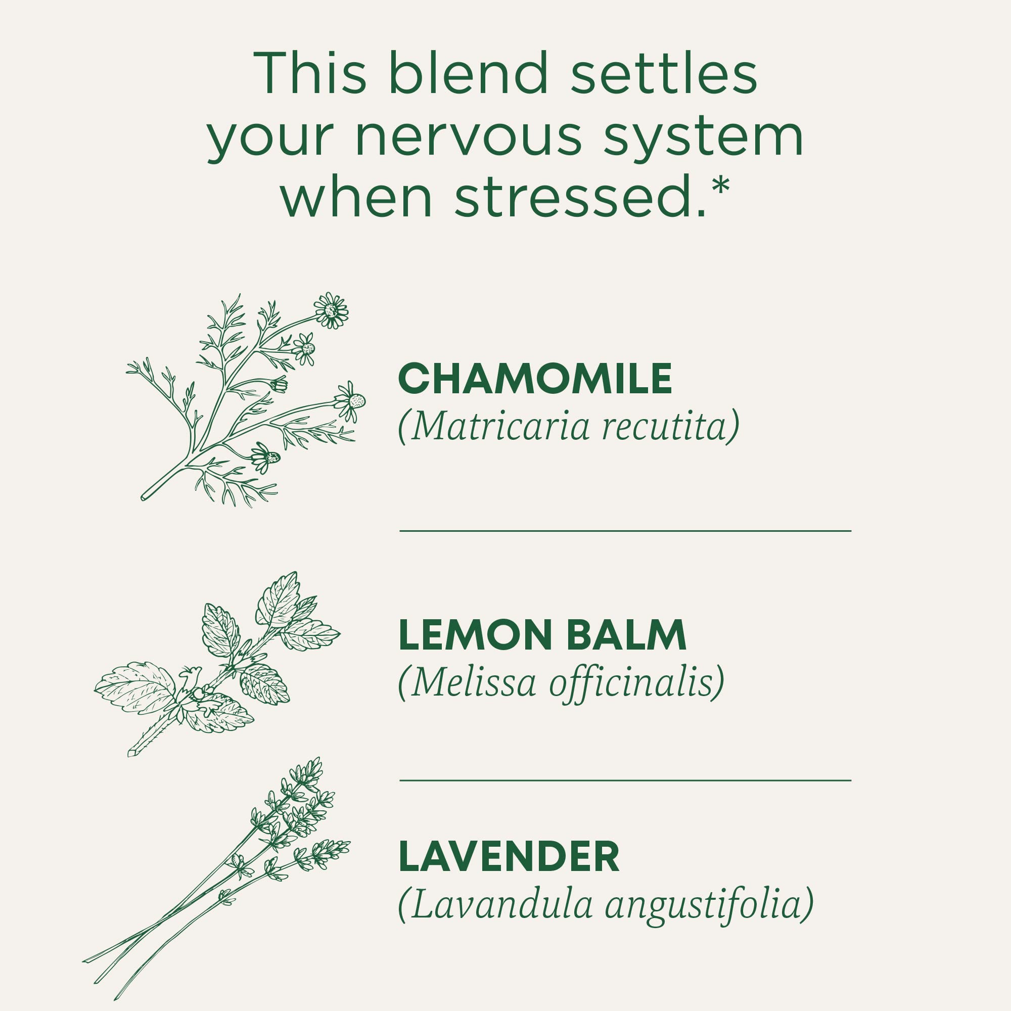 Traditional Medicinals Tea, Organic Chamomile & Lavender, Stress Relief, 16 Tea Bags