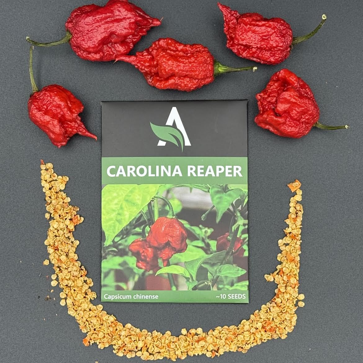 Carolina Reaper Seeds – World’s Hottest Pepper – Heirloom Quality, 10+ Seeds Per Pack