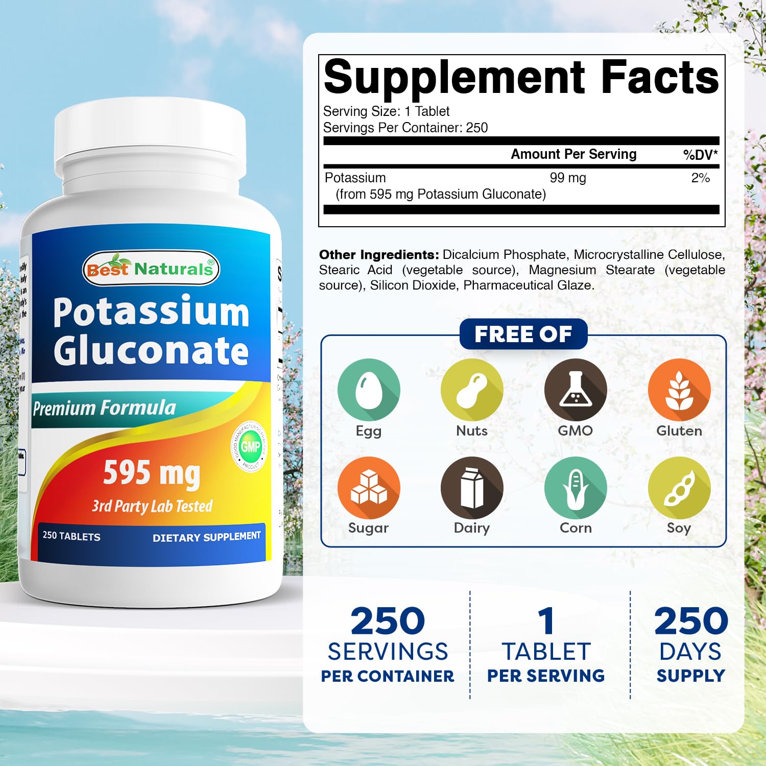 Best Naturals Potassium Gluconate 595 mg 250 Tablets (250 Count (Pack of 3))