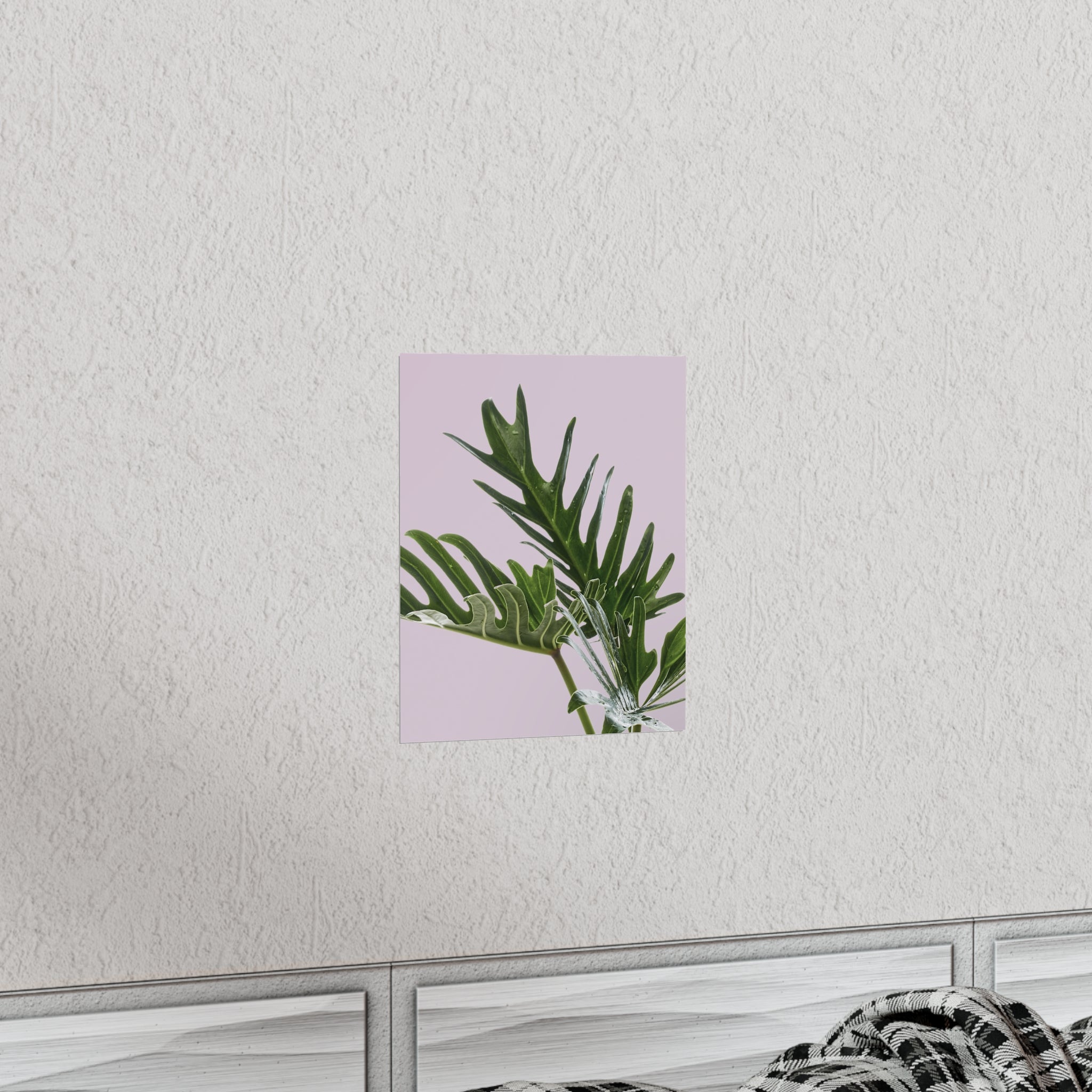 Philodendron Pink Poster