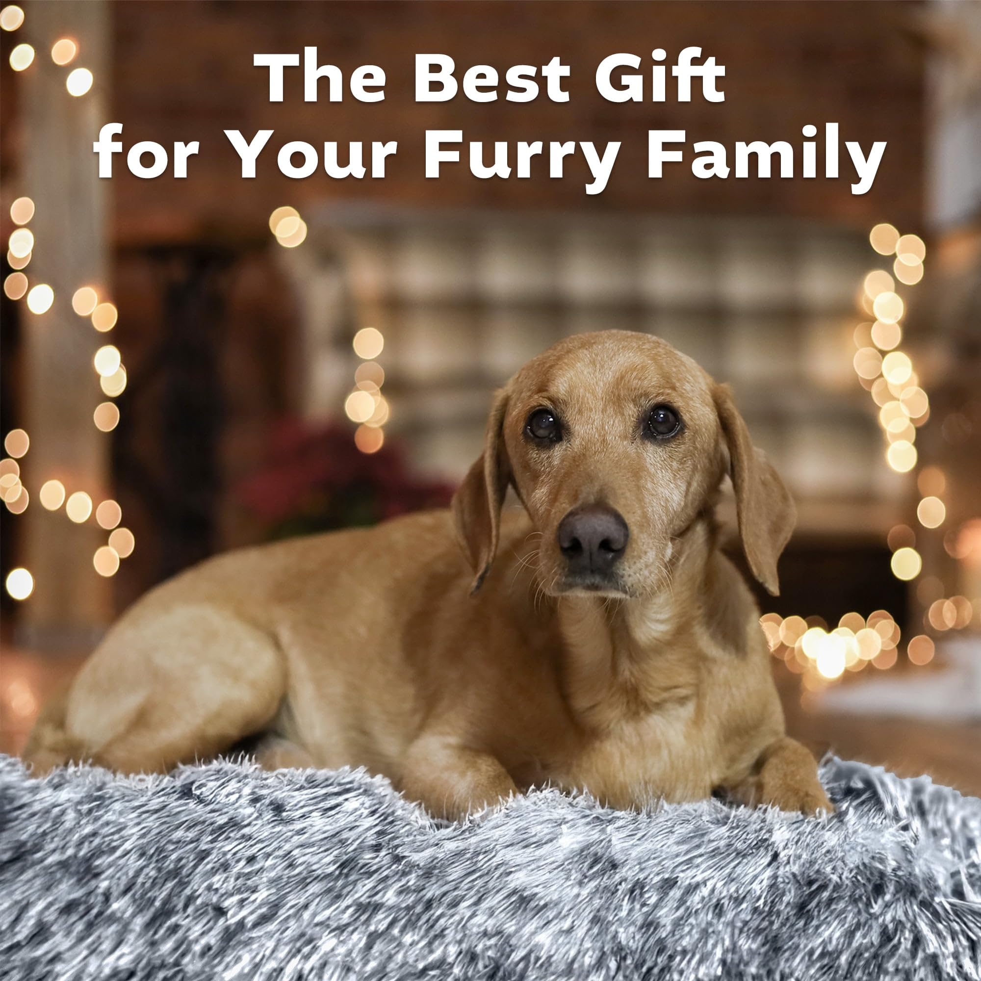 Deluxe Plush Dog Beds for Large Dogs Cats Washable Anti-Slip Pads 35''x23'' Gray