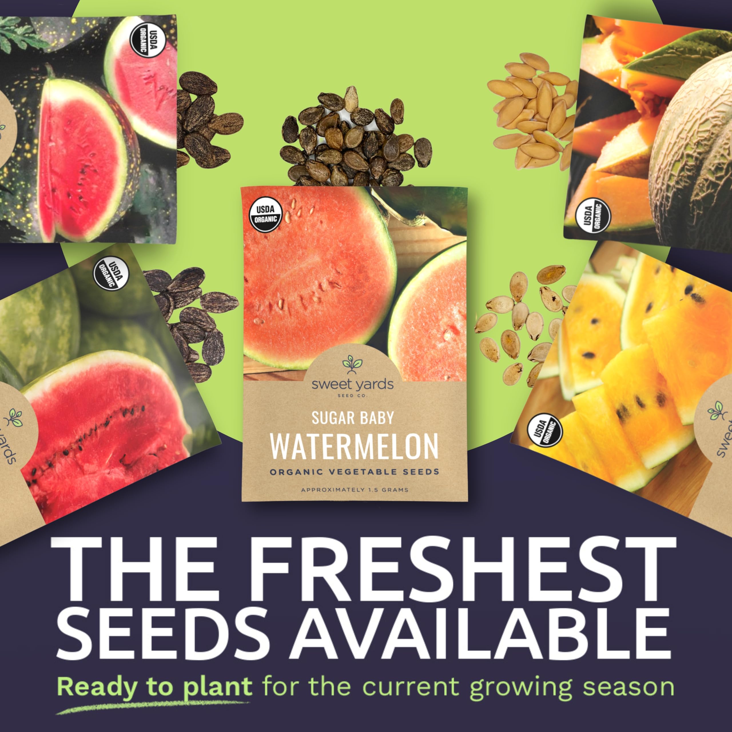 Organic Melon Medley Garden Seeds Variety Pack- Watermelons and Cantaloupes - Non-GMO USDA Certified Organic Open Pollinated Heirloom USA Fruit Seed Packets