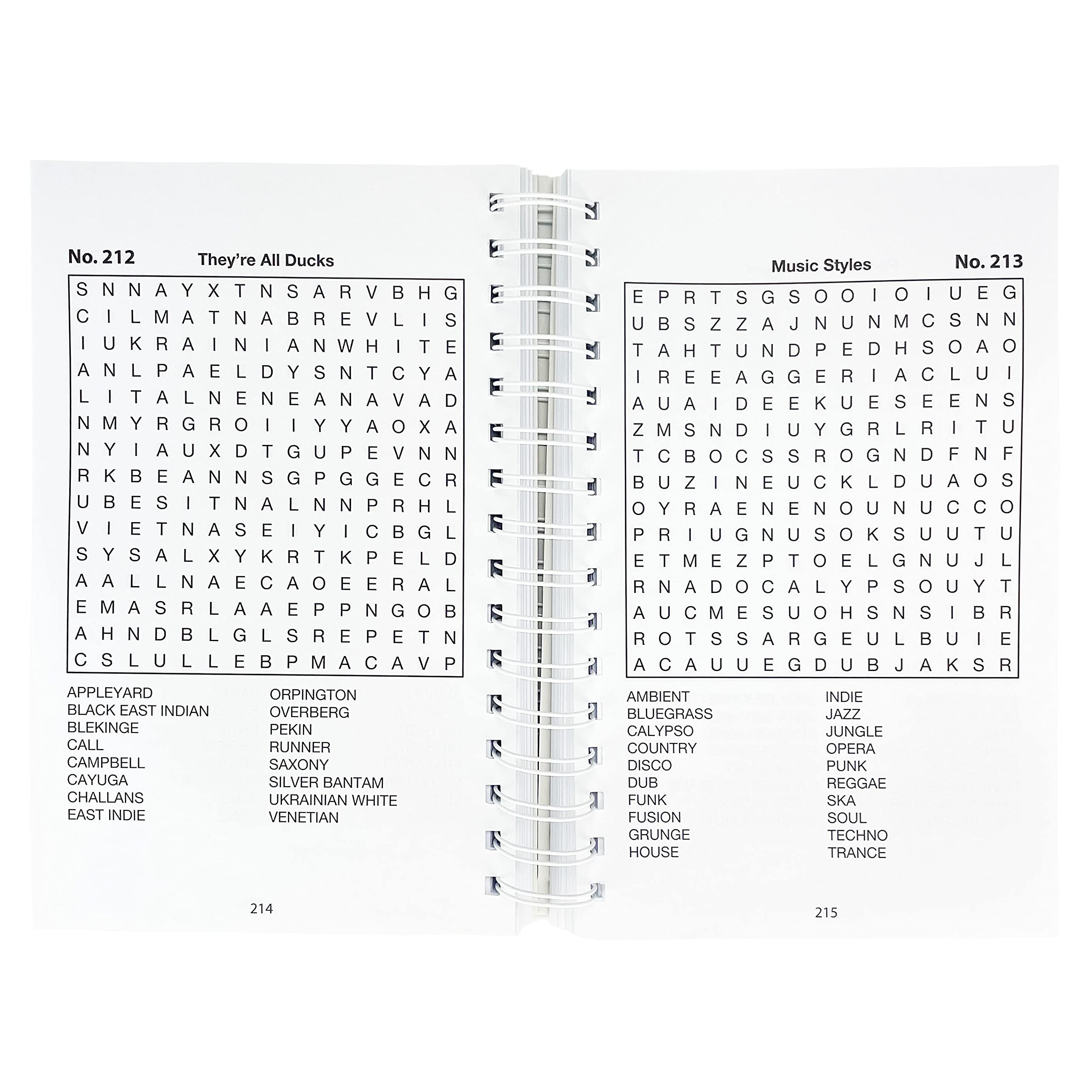 Word Search Puzzles (Big Book of Puzzles) (Brain Busters)