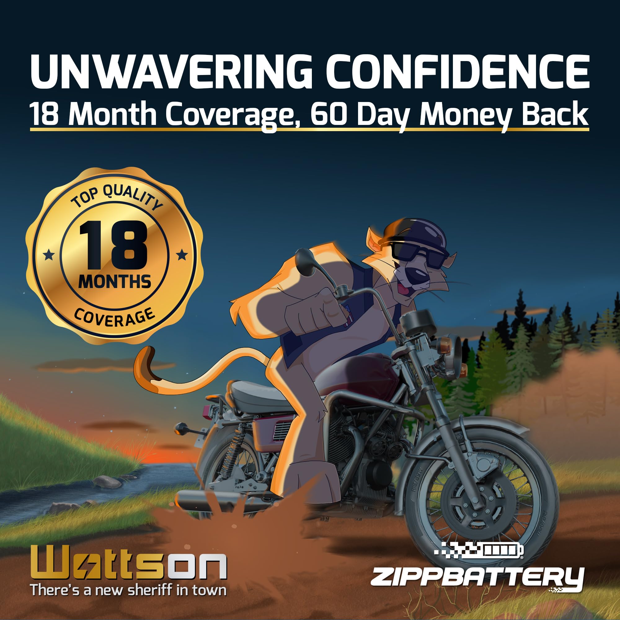 Zipp Battery YTX4B-BS Maintenance-Free 12V 2Ah Battery Replacement for ATV, Motorcycle, Jet Skis, Scooter, UTV, and More