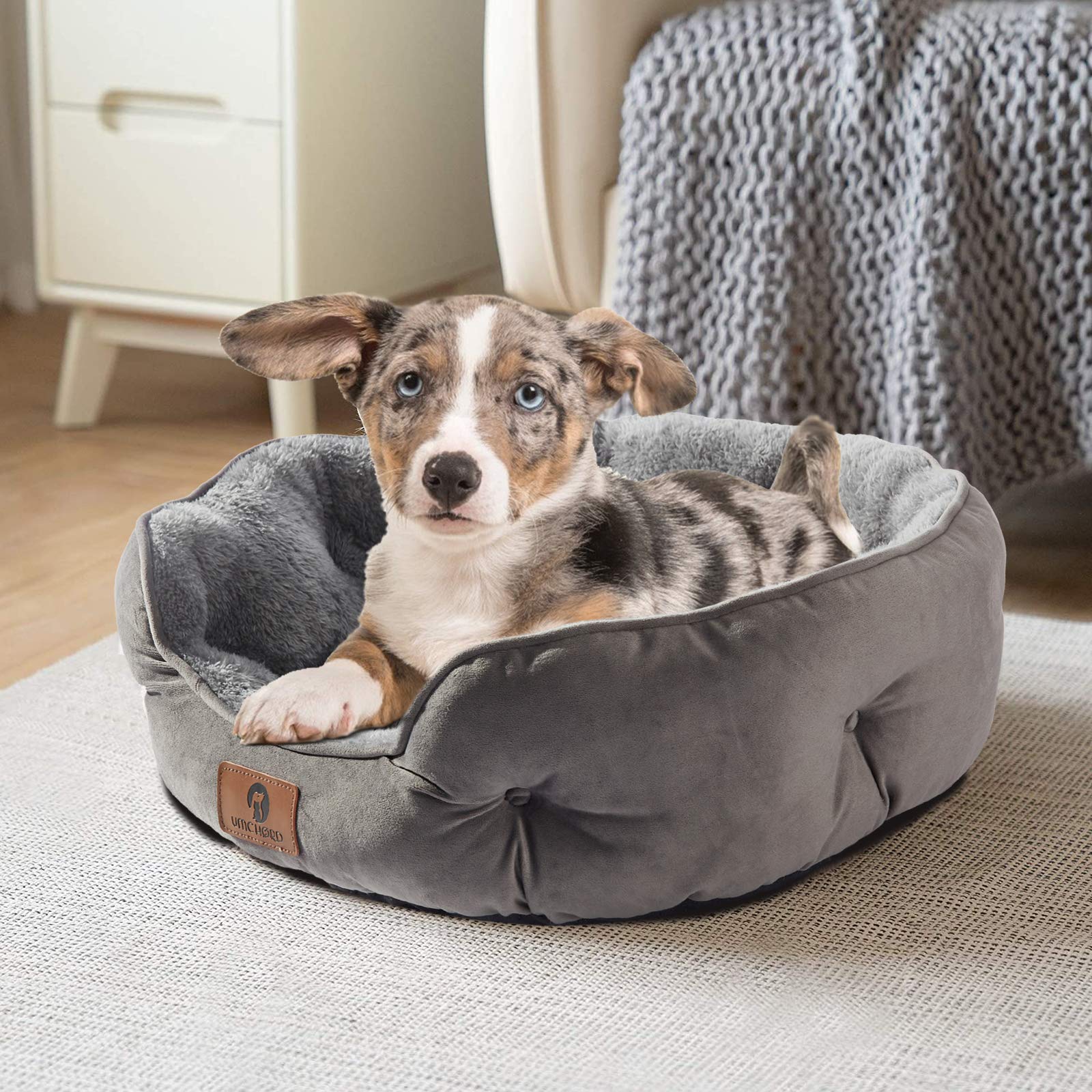 Asvin Small Dog Bed for Small Dogs, Cat Beds for Indoor Cats, Pet Bed for Puppy and Kitty, Extra Soft & Machine Washable with Anti-Slip & Water-Resistant Oxford Bottom, Grey, 20 inches