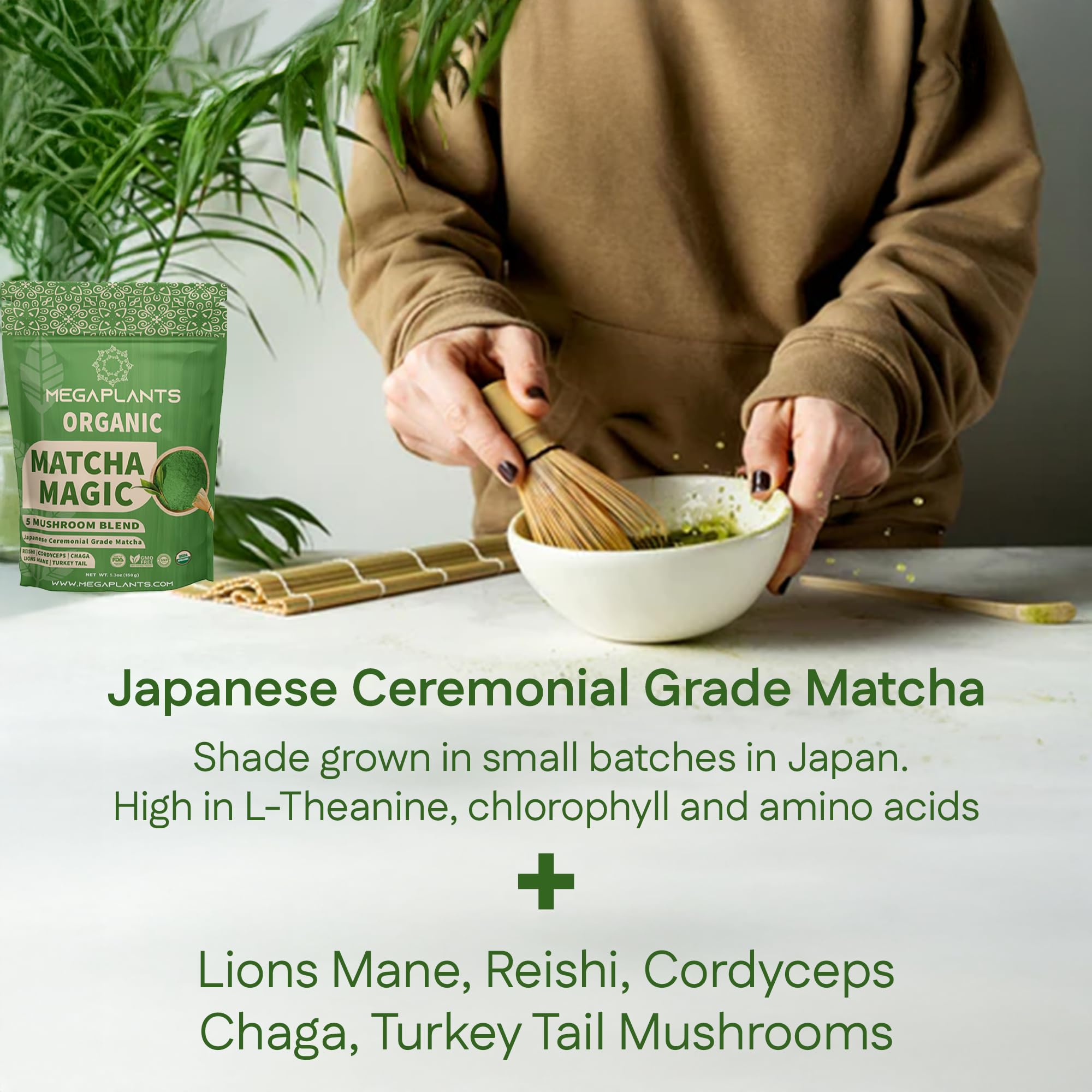 MEGAPLANTS Mushroom Matcha Magic - USDA Organic Ceremonial Grade Japanese Matcha (50 Serving)- with Reishi, Lion’s Mane, Chaga, Cordyceps & Turkey Tail – Superfood for Focus & Energy.