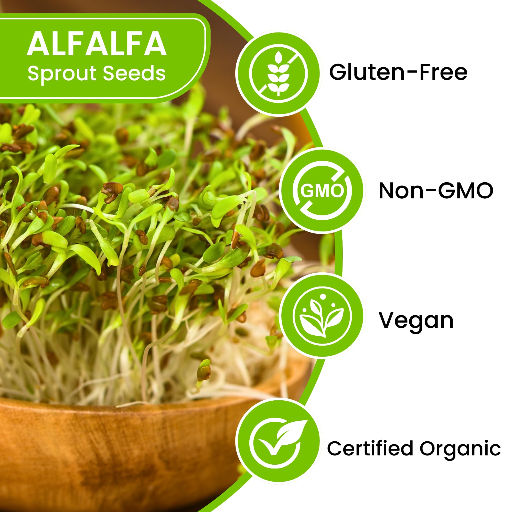 Premium USA Alfalfa Seeds for Sprouting & Microgreens with High Germination Rate. Seeds Come in Food Grade Resealable Bag for Keeping Fresher for Longer (0.5 lb)
