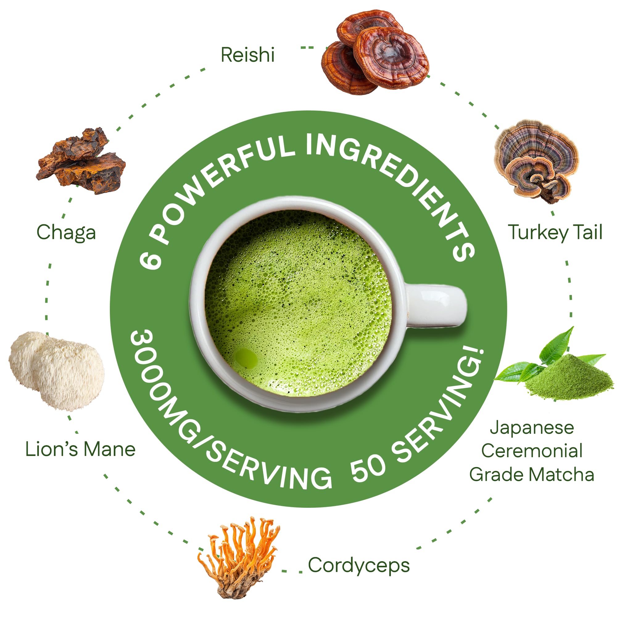 MEGAPLANTS Mushroom Matcha Magic - USDA Organic Ceremonial Grade Japanese Matcha (50 Serving)- with Reishi, Lion’s Mane, Chaga, Cordyceps & Turkey Tail – Superfood for Focus & Energy.