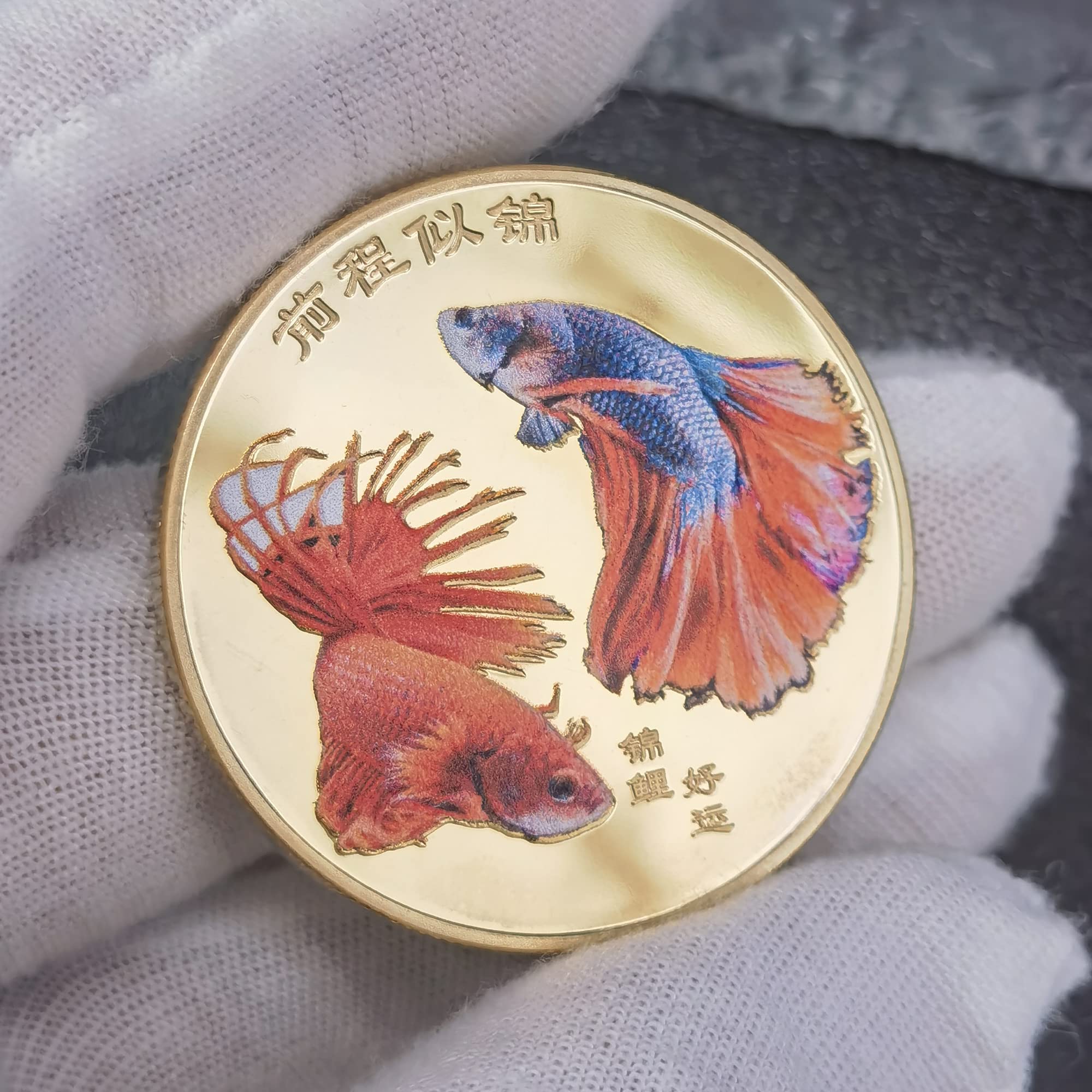 Wish You Have an Infinitely Bright Future Koi Fish Lucky Coin - Attract Good Fortune & Prosperity - Good Luck Chinese Challenge Coin