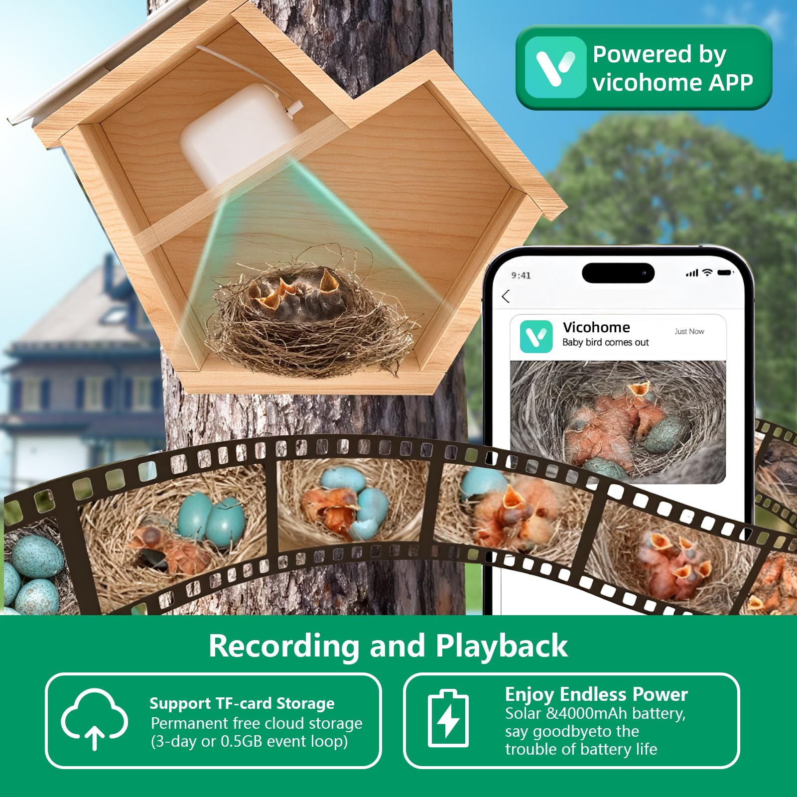 Bird House Feeder with Camera, Outdoor Waterproof Solar Powered, 2K HD Camera AI Recognition for Over 10,000 Species, Real-time Videos & Pictures, a for Bird Lovers (Green)