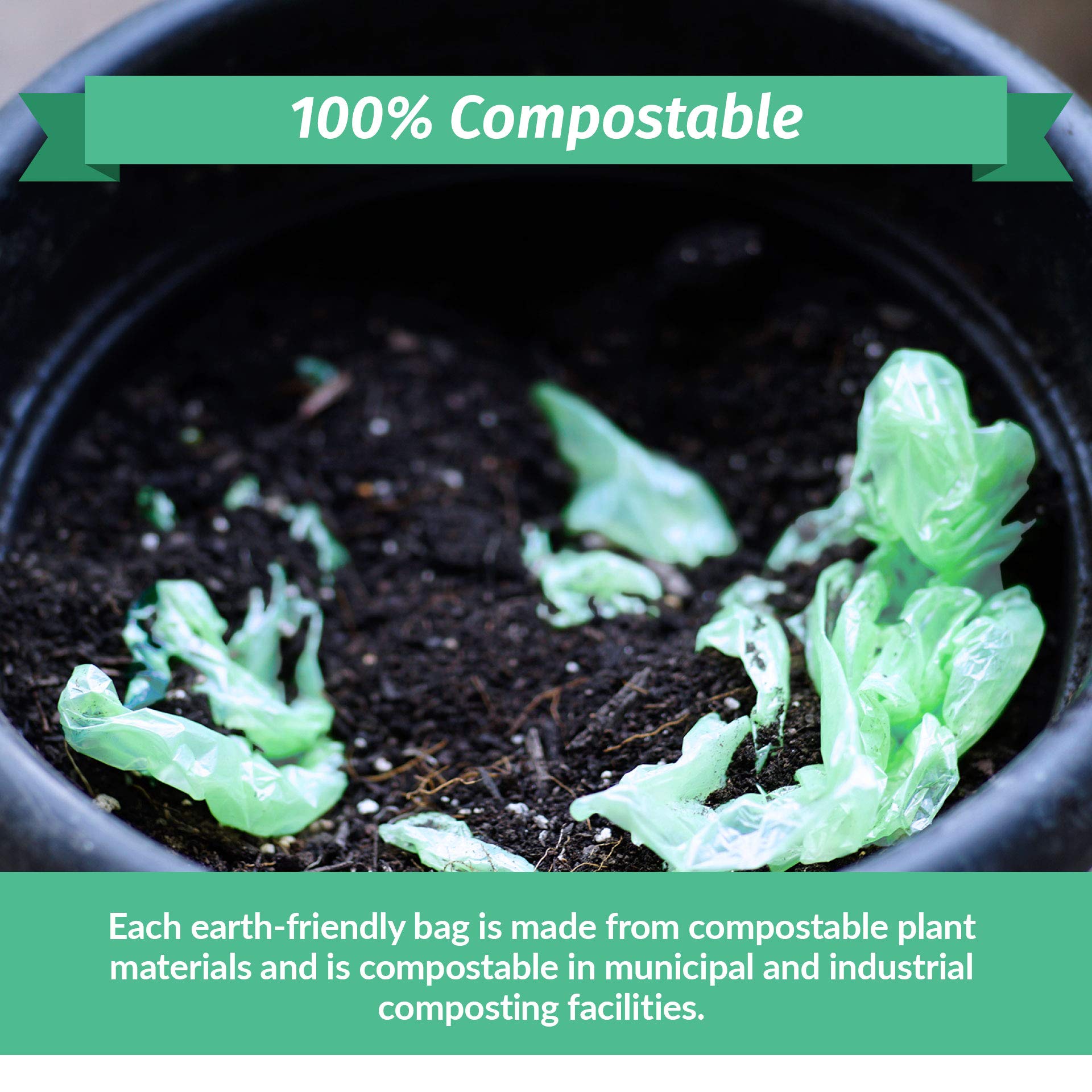 Reli. Compostable 13 Gallon Trash Bags | 75 Count | ASTM D6400 | Green | Eco-Friendly | For Compost
