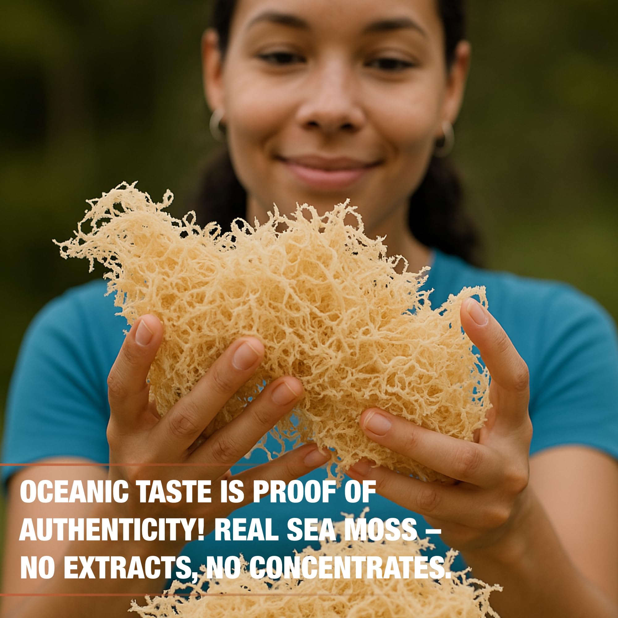 Biolore Sea Moss Gel – Mango Pineapple, Made in USA, No Added Sugar, Rich in Vitamins & Minerals, Vegan Superfood, Seamoss Jam & Spread Gift (16 oz)