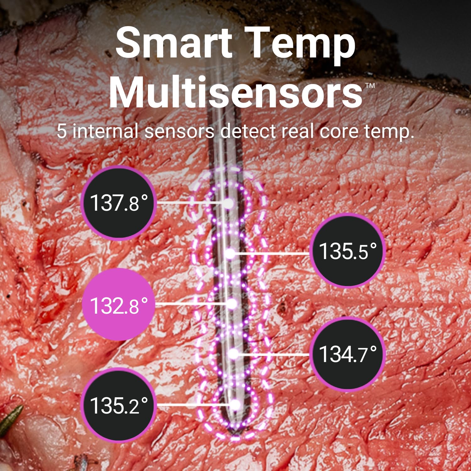 MEATER 2 Plus: Direct Heat Grilling at 1000°F, Smart Meat Thermometer, Bluetooth, 100% Waterproof, Precision Cooking, Multi Sensors, Certified Calibration, for BBQ/Grill/Kitchen