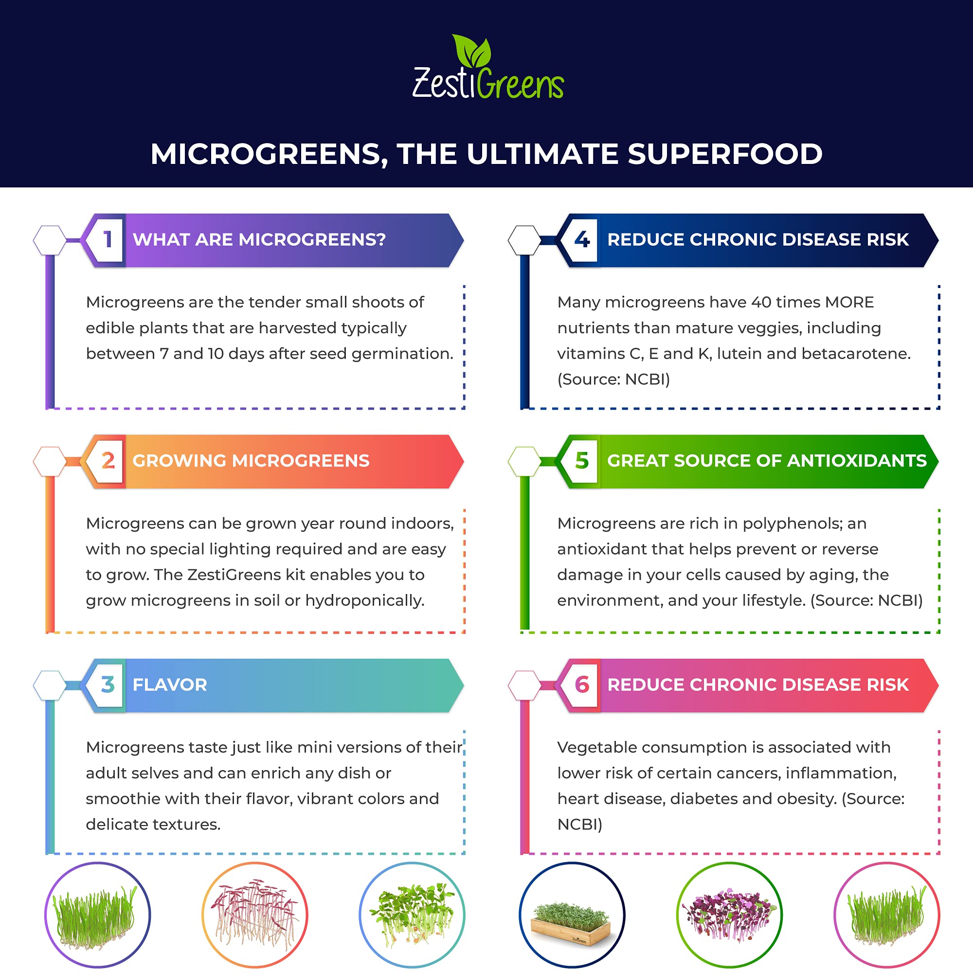 ZESTIGREENS Self Watering Microgreens Growing Kit. Hands Down The Easiest Way to Grow Microgreens. Includes Tray, Seeds, Mats, and Bamboo Surround. Great Gift for Gardeners