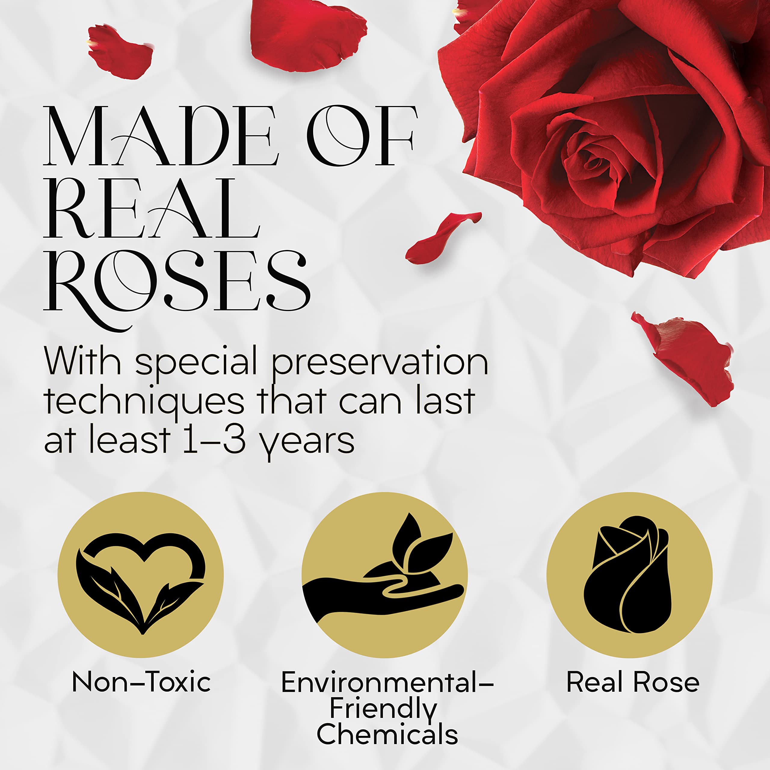 GLAMOUR BOUTIQUE Eternal Preserved Roses in a Box - Flowers Forever Valentine’s Day, Roses Forever for Women, Roses Forever in a Box for Delivery, Birthday Gifts for Her, Red