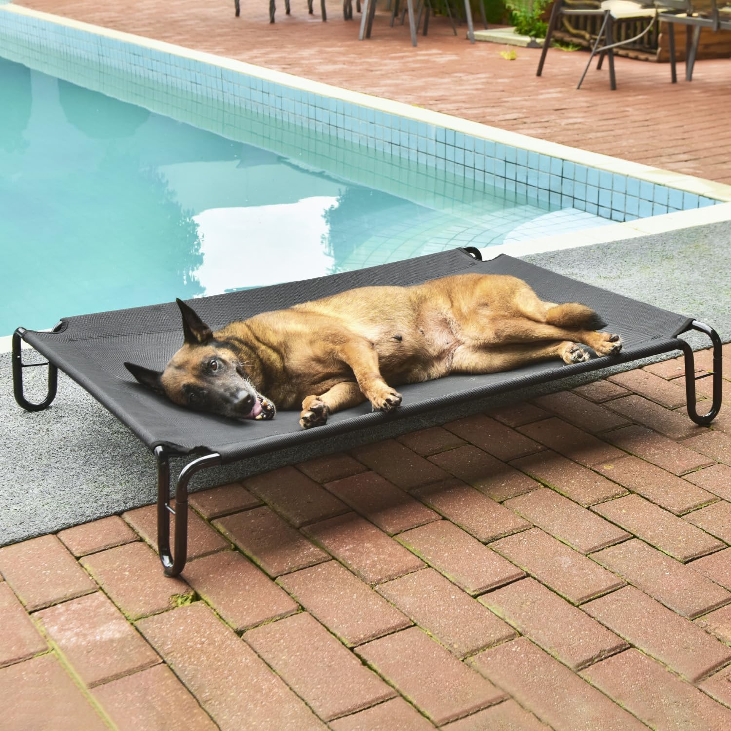 pettycare Elevated Outdoor Dog Bed - Raised Dog Bed for Large Dogs, Waterproof Dog Cot Bed Easy to Assemble, Cooling Elevated Dog Bed with Breathable Teslin Mesh, Durable, Non Slip, Up to 65 lbs,Black