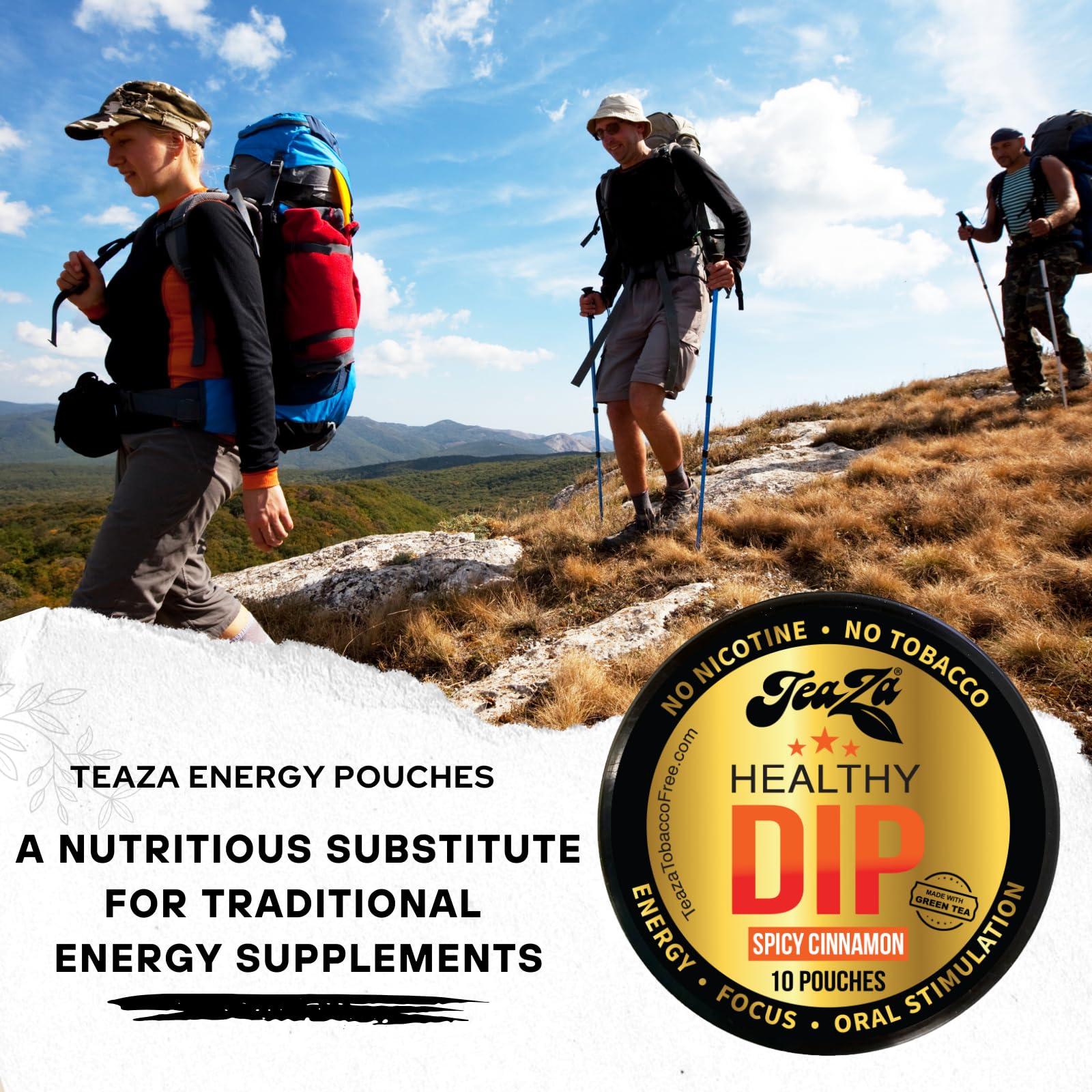 TeaZA Herbal Energy Pouch Spicy Cinnamon Flavor, Nicotine Free, Tobacco Free Pouches Smokeless Tobacco Replacement, Made with Green Tea Energy Dip Pouches (1 Puck)