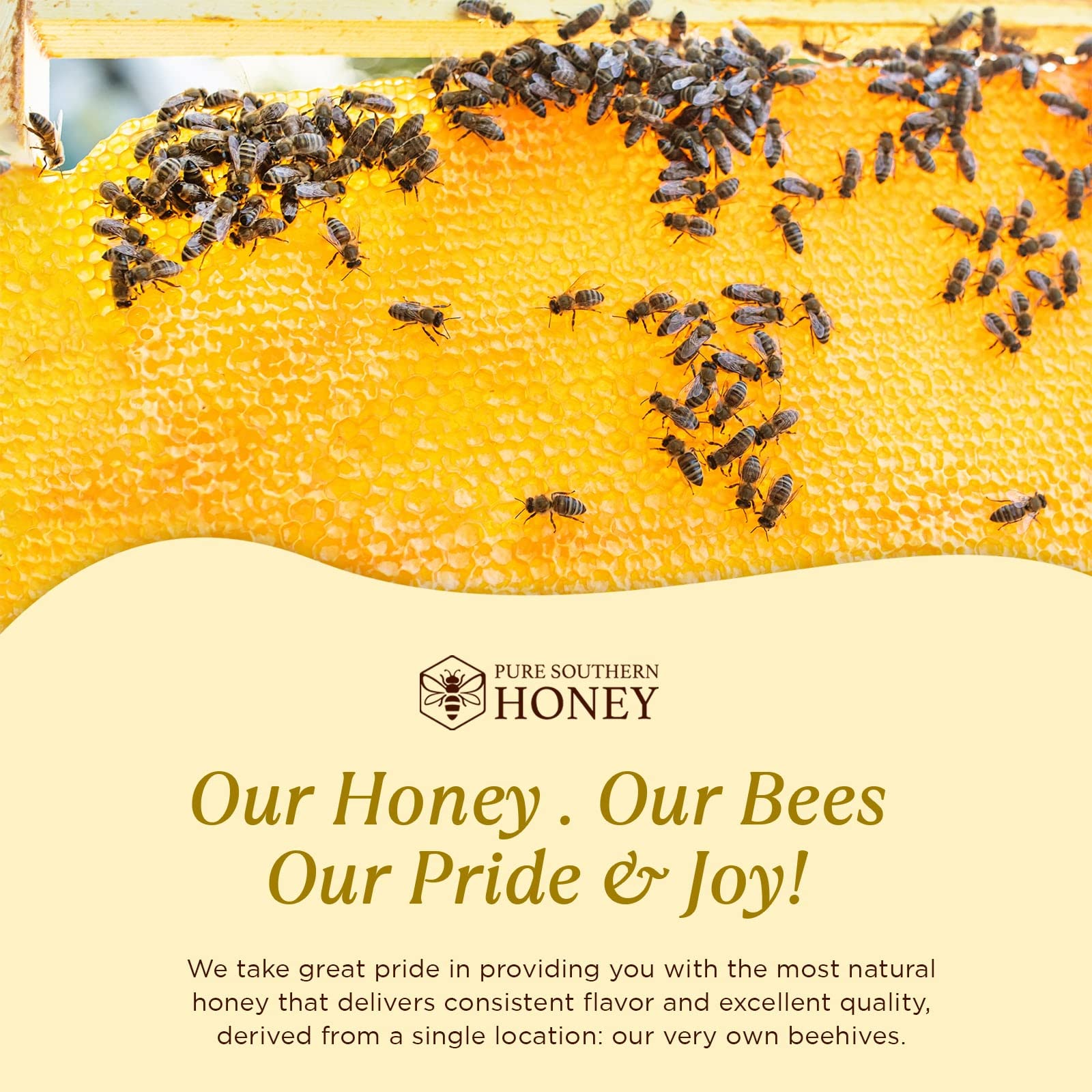100% Raw Unfiltered Honey , Bulk by Pure Southern Honey [ 3 lb] - Authentic, USA - Made Gallberry Honey - Pure Unheated Honey - Non - GMO, Unsweetened, Sugar - Free, Real American Honey - Pour Jug With Flip Top