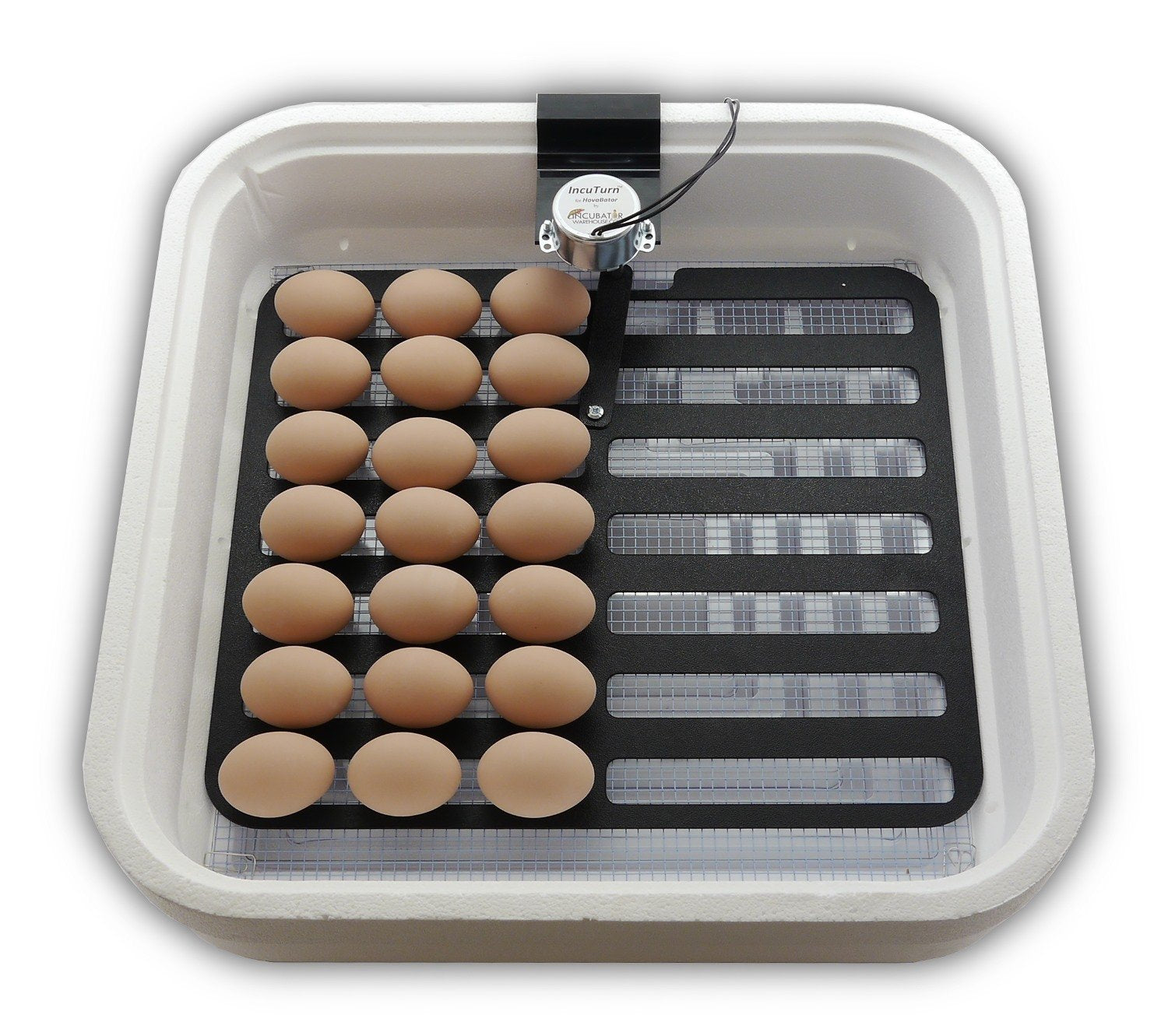 HovaBator 2370 Egg Incubator Deluxe Combo Kit, Electronic Thermostat, Circulating Air Fan, Automatic Egg Turner, Hygrometer for Humidity Measurement, Quail - Goose Hatching Eggs, Poultry