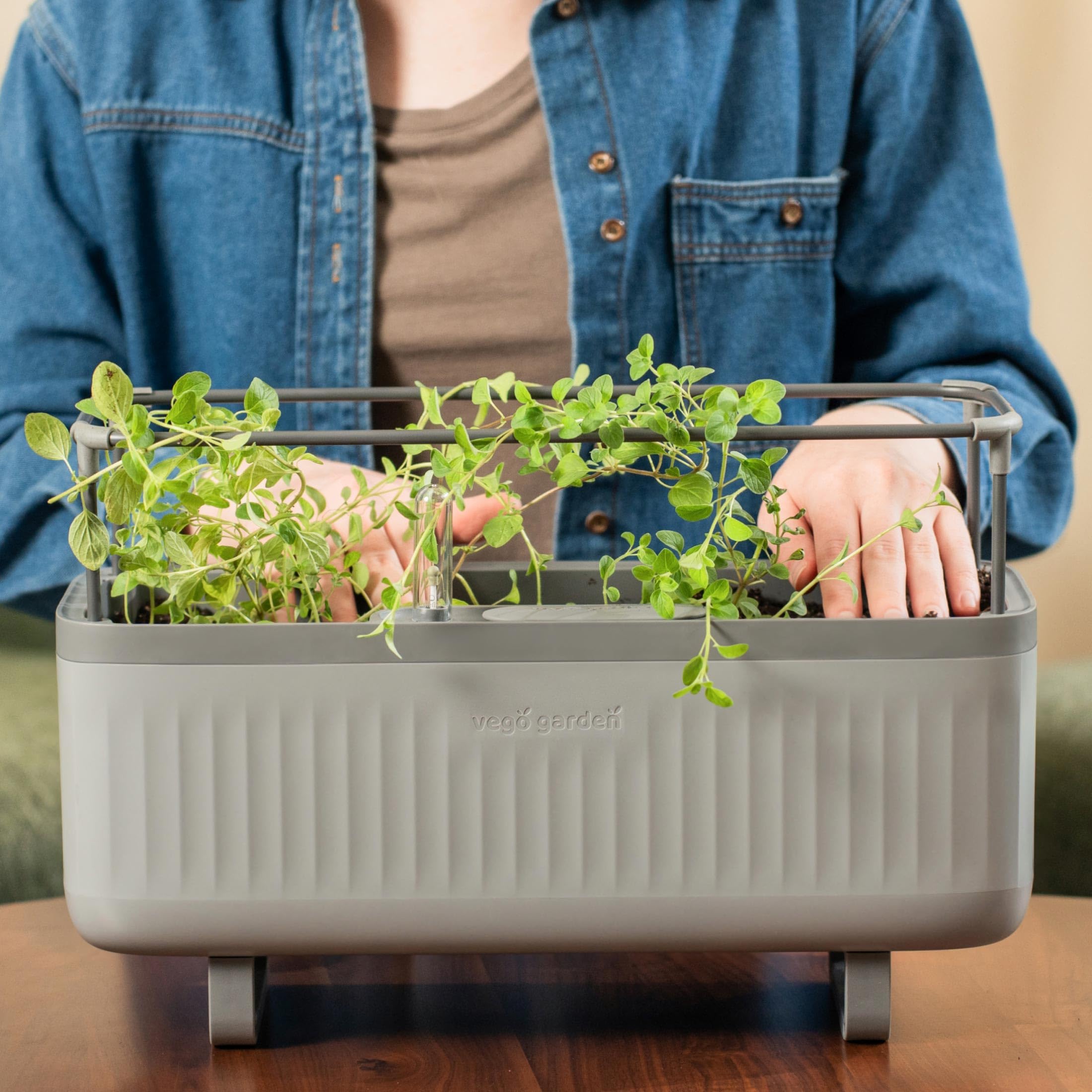 Vego Garden Herb Indoor Plant Box, Self Watering Planters Pots for Indoor Plants with Trellis for Kitchen Window Sill or Countertop Plants Cage - Fog Gray