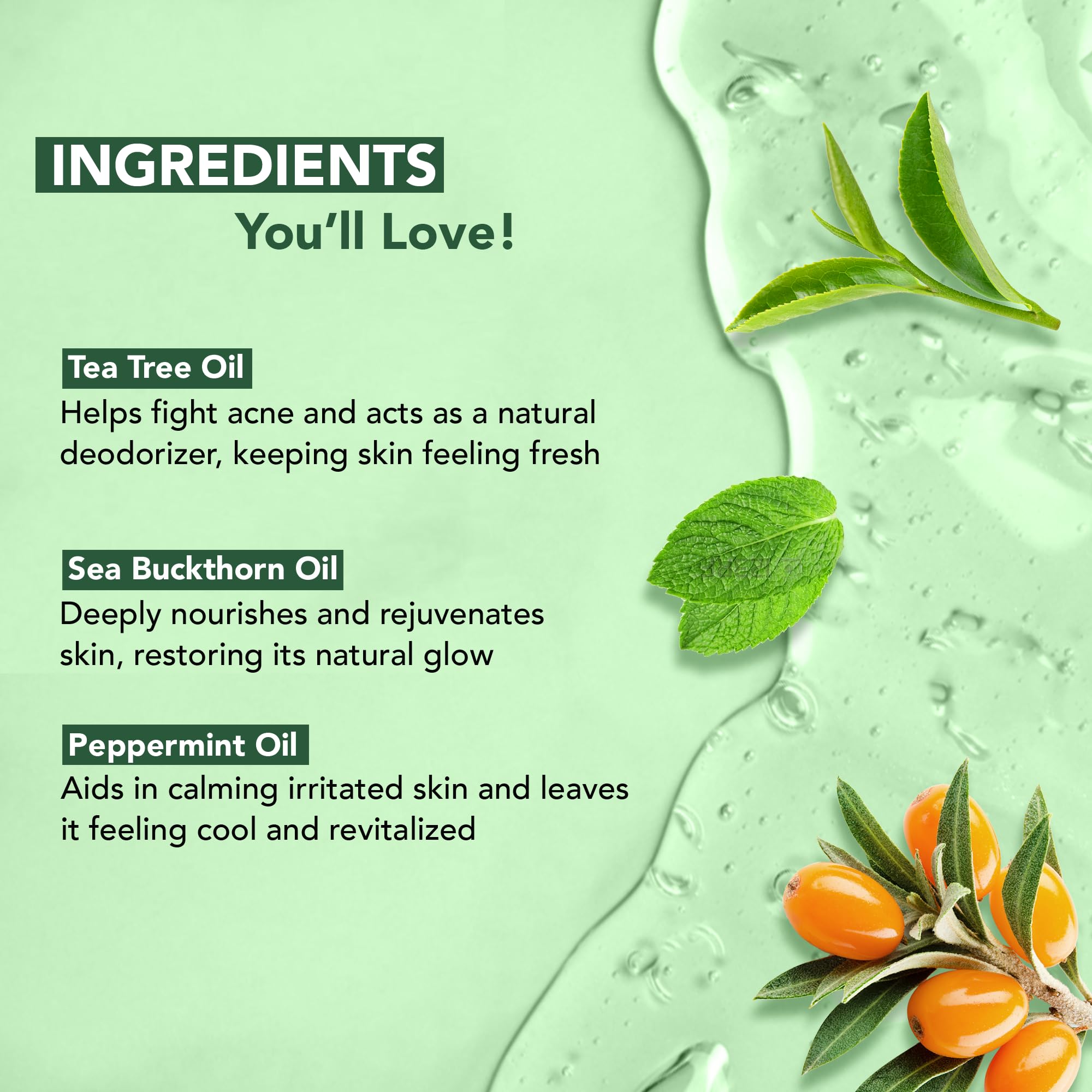 Botanic Hearth Tea Tree Body Wash with peppermint oil| for Men and Women 16 fl. oz. Pack of 2