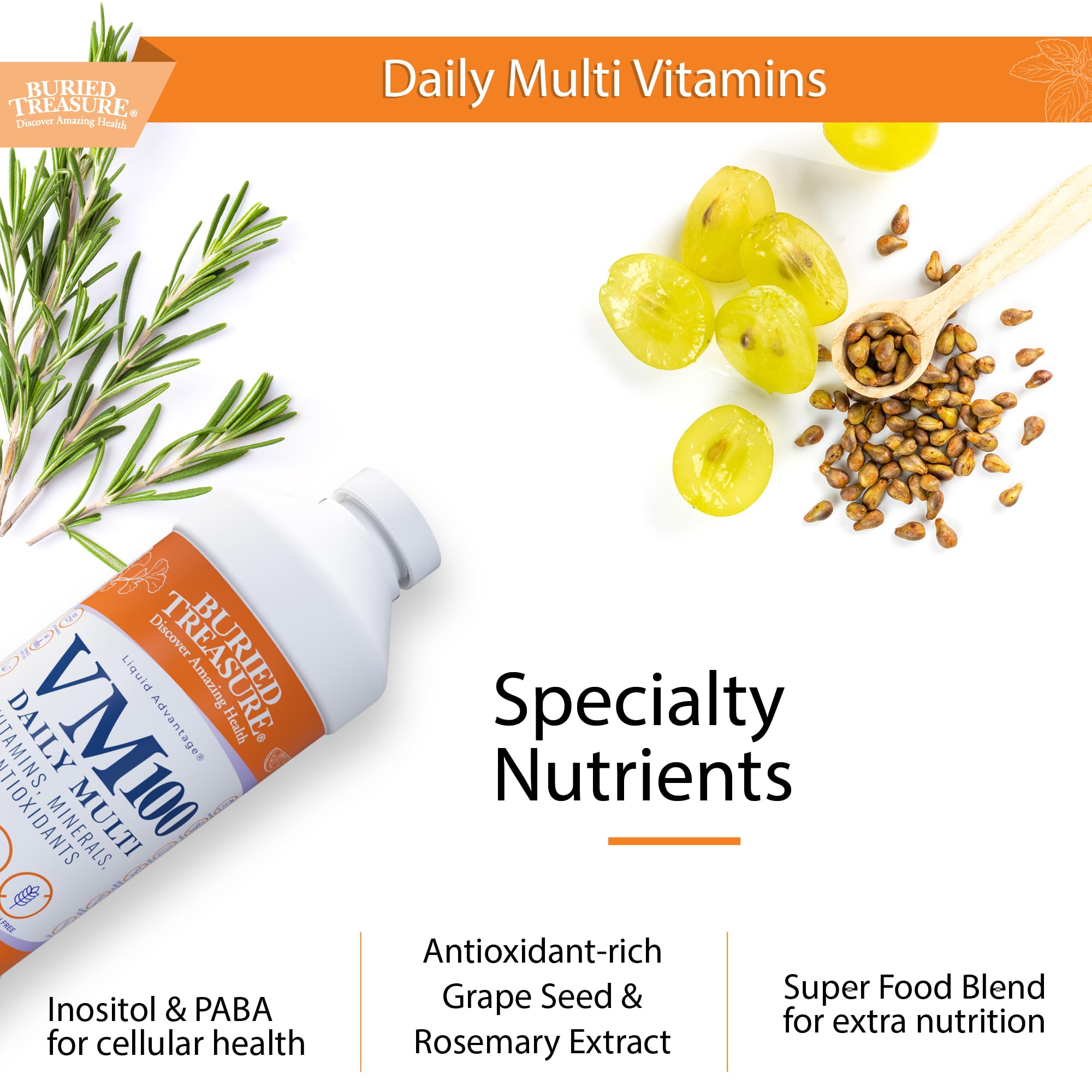 Buried Treasure VM100 Complete Daily Liquid Vitamins and Minerals plus Antioxidants Supplement for Maximum Absorption Great Tasting Orange Zest Flavor 32 Servings 32 Ounce