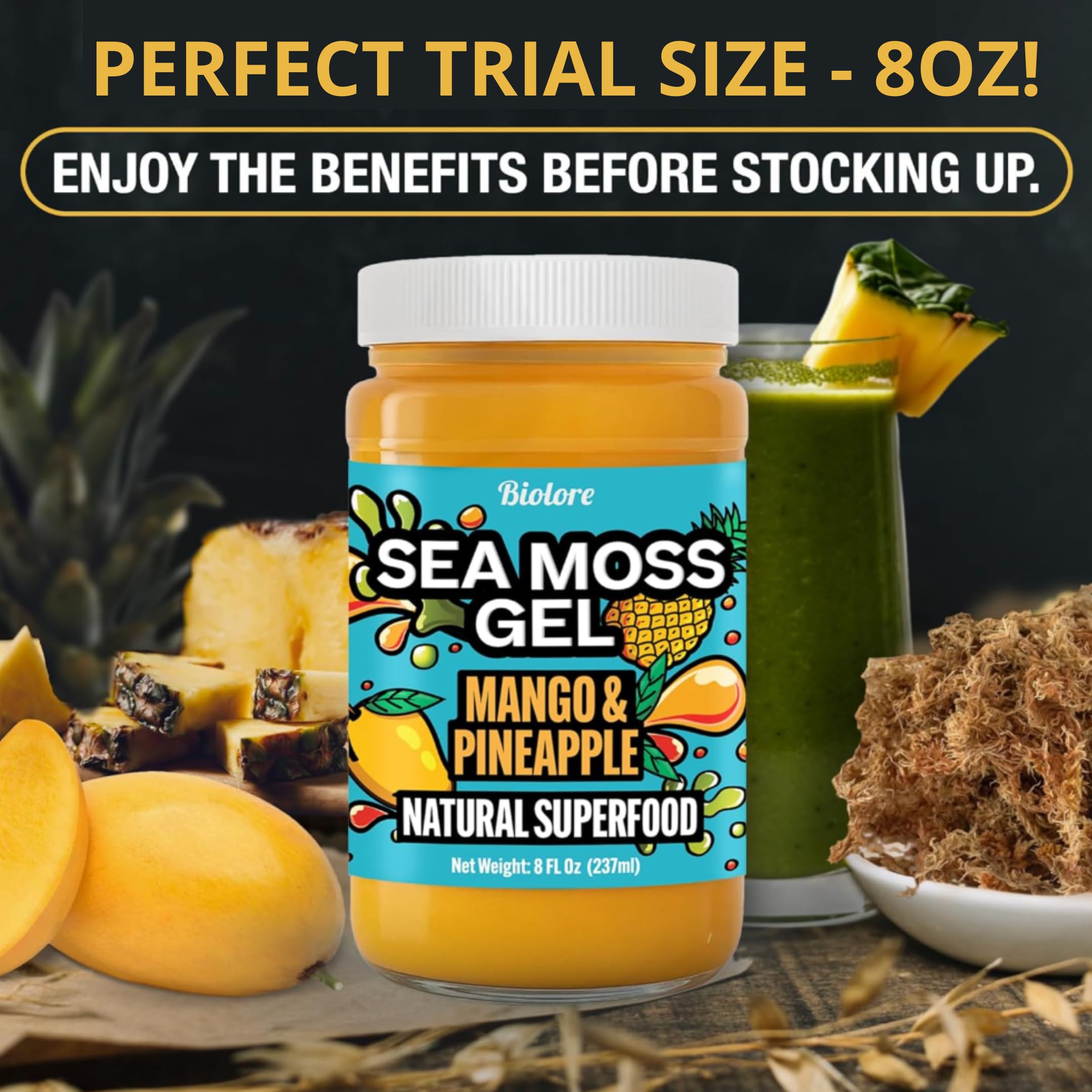 Biolore Sea Moss Gel – Mango Pineapple, Made in USA, No Added Sugar, Rich in Vitamins & Minerals, Vegan Superfood, Seamoss Jam & Spread Gift (8 oz)