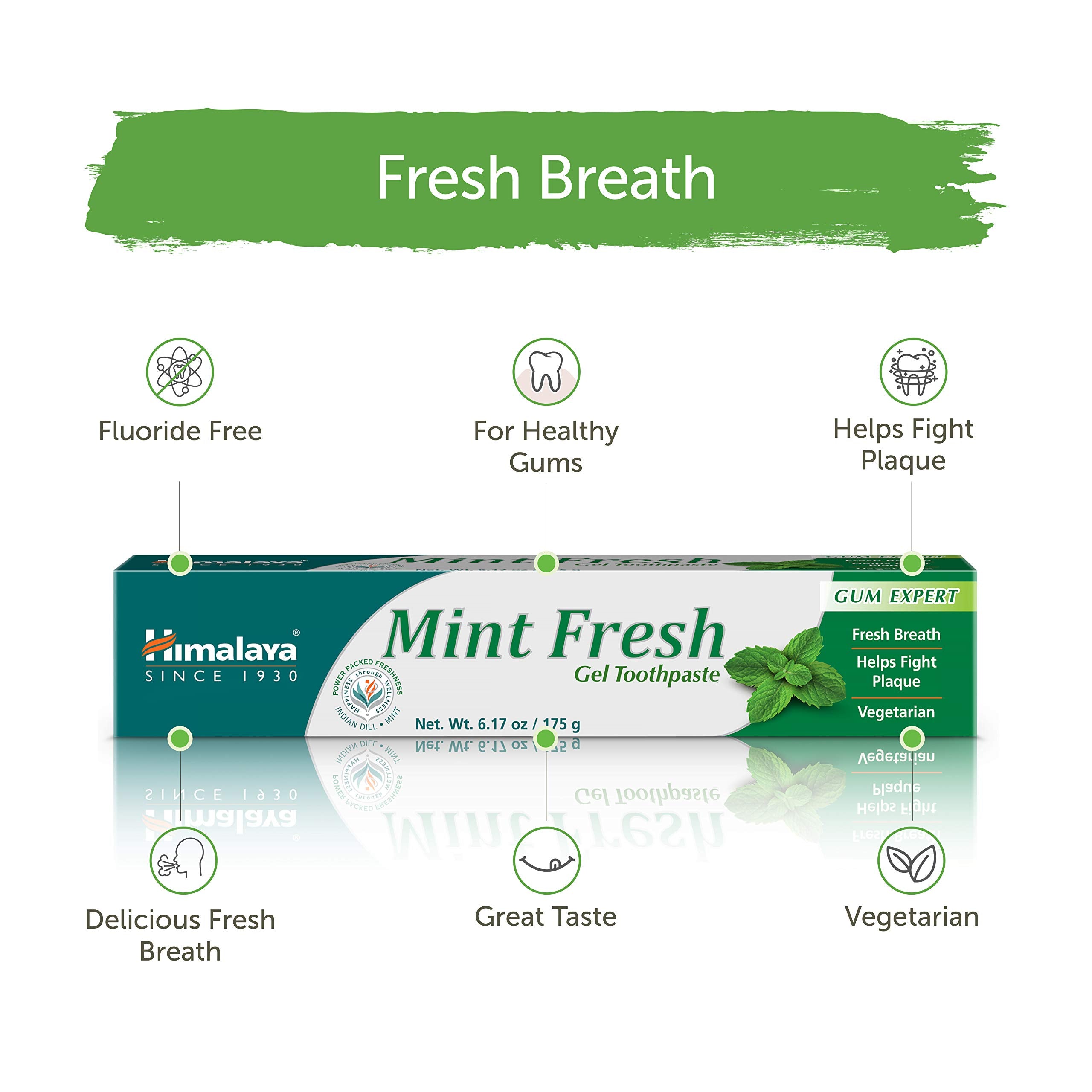 Himalaya Mint Fresh Gel Toothpaste, Fluoride Free to Reduce Plaque & Brighten Teeth, 6.17 oz