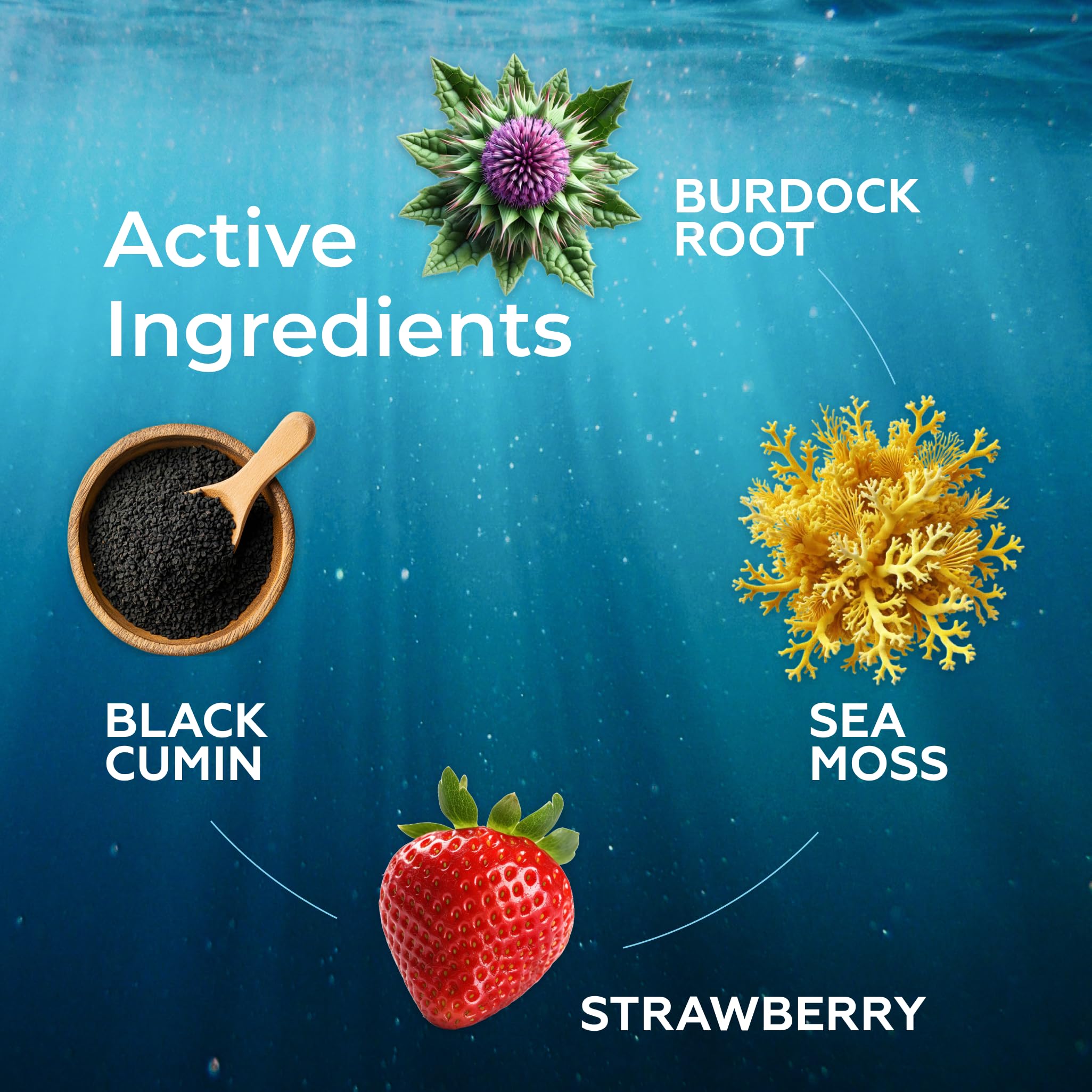 TrueSeaMoss Irish Sea Moss Drops - 5X Stronger Than Sea Moss Gel - 92+ Essentials Minerals - with Spirulina Powder, Burdock Root & Black Cumin - 2 Fl Oz (60ml) - Strawberry Flavor